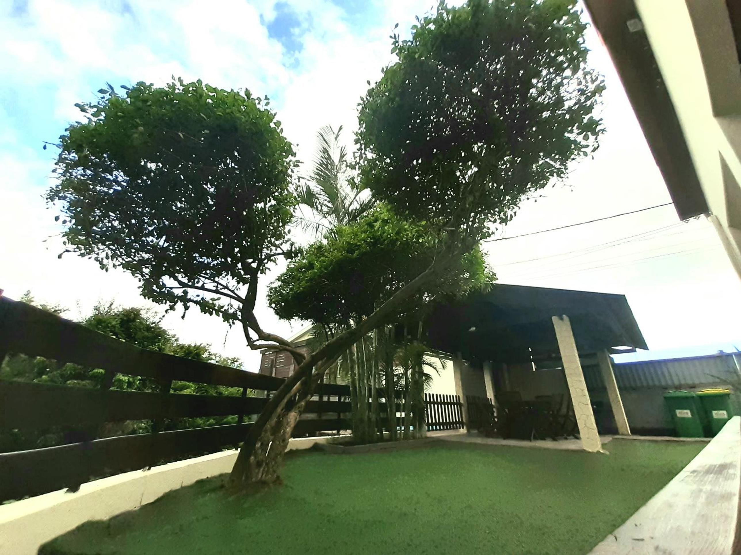 Ti Kaz Guita view 5