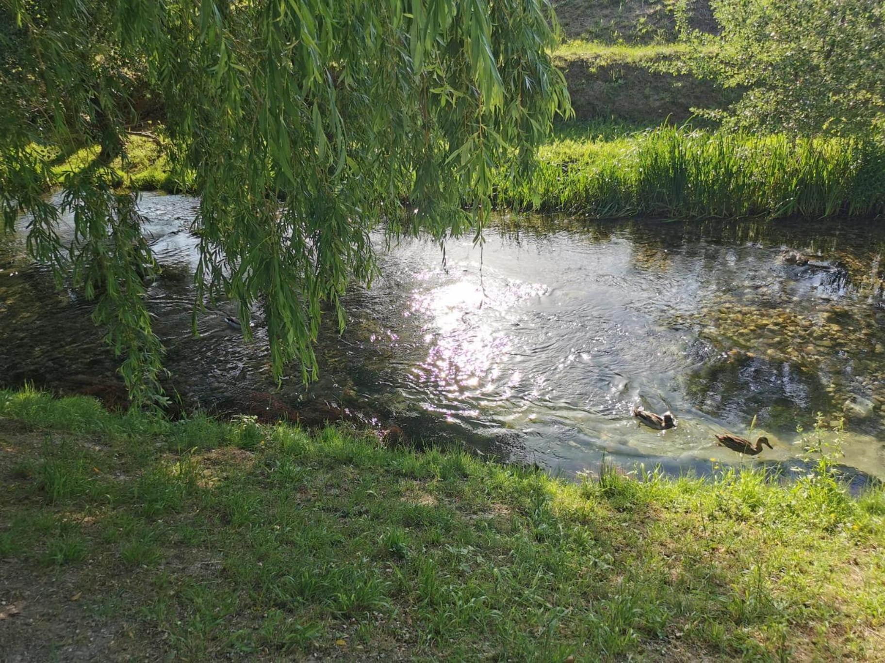 Photo 24