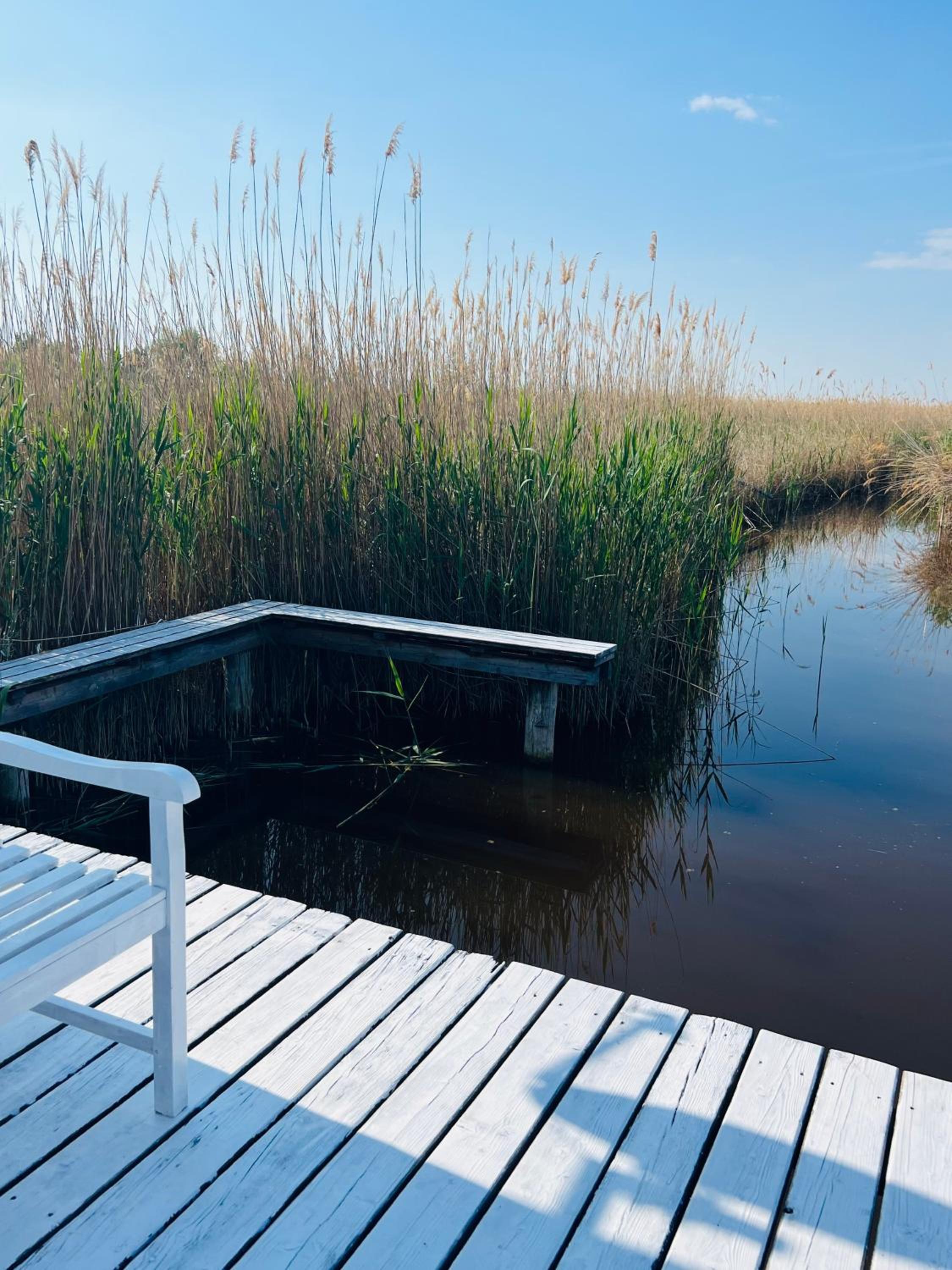 Seehütte Neusiedlersee "Strandhaus" inklusive Elektroboot view 2