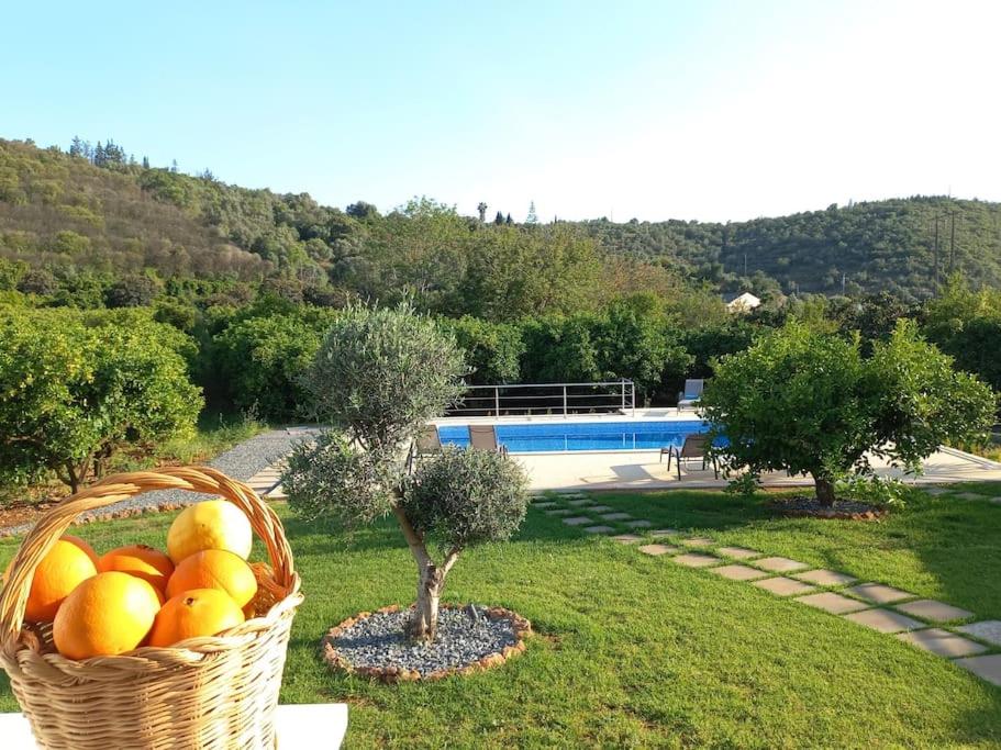 Casa Citrus Limão - Between the Hills & the Ocean view 3