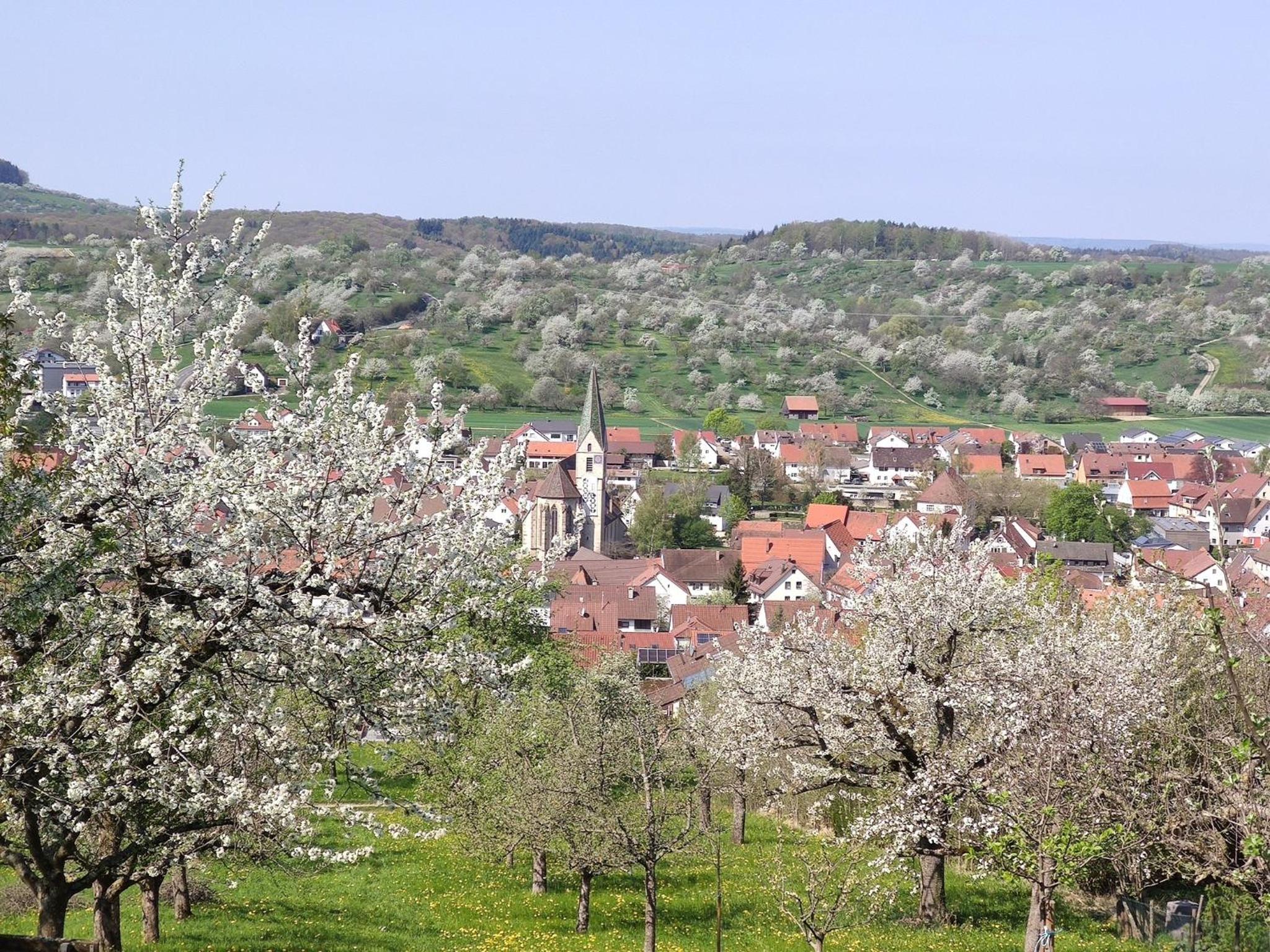Ferienwohnung Barner - KEINE MONTEURE