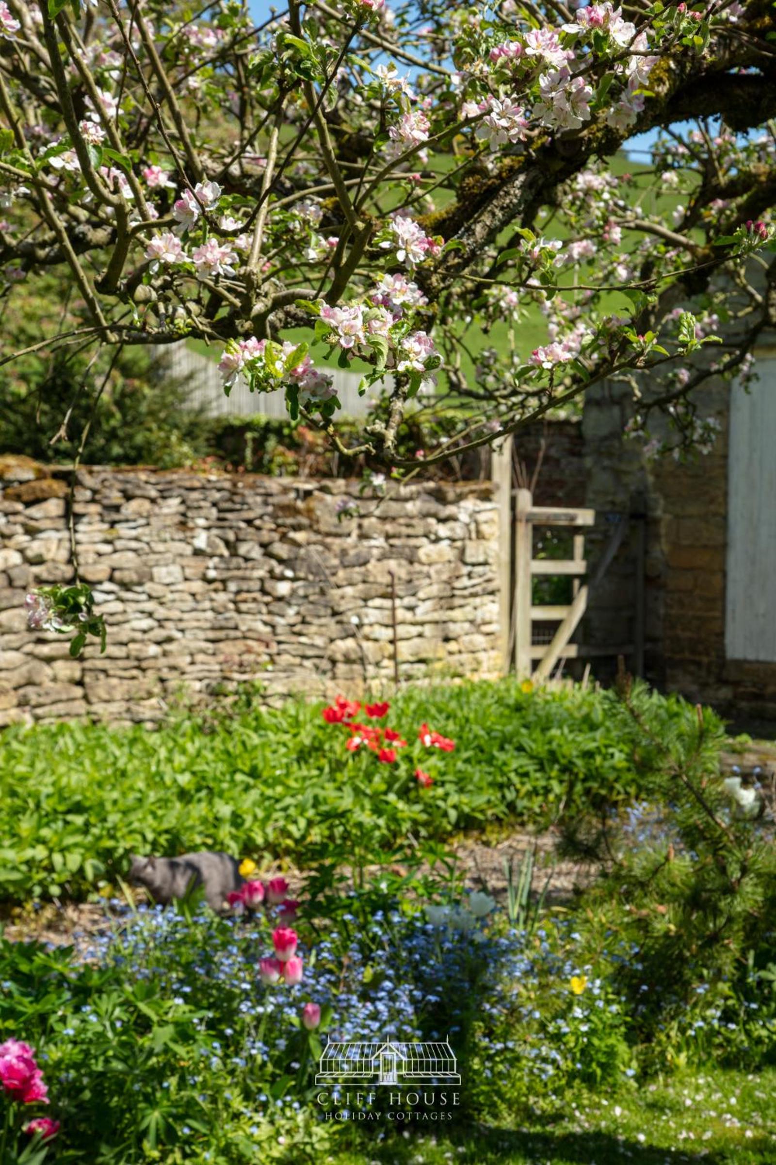 Cliff House Holiday Cottages view 5