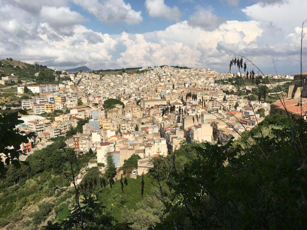 La Domus di Segesta "smart solution" view 3