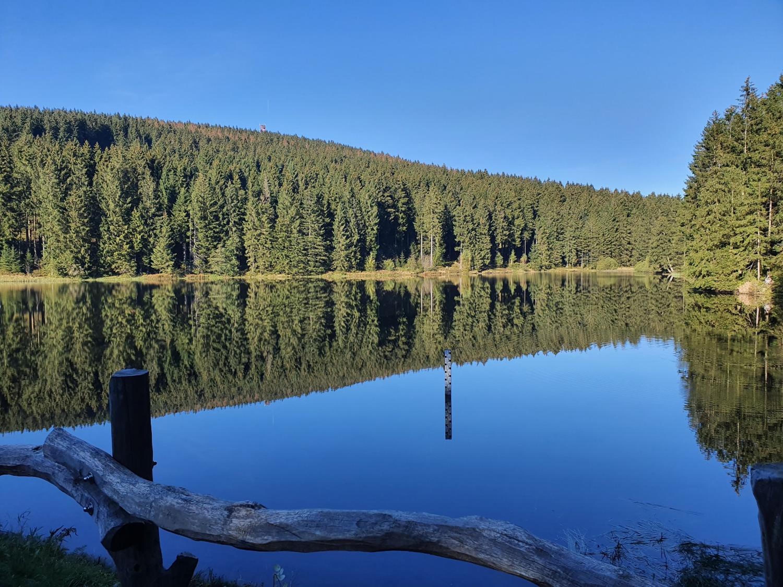 Harz Enjoy - Vier Jahreszeiten