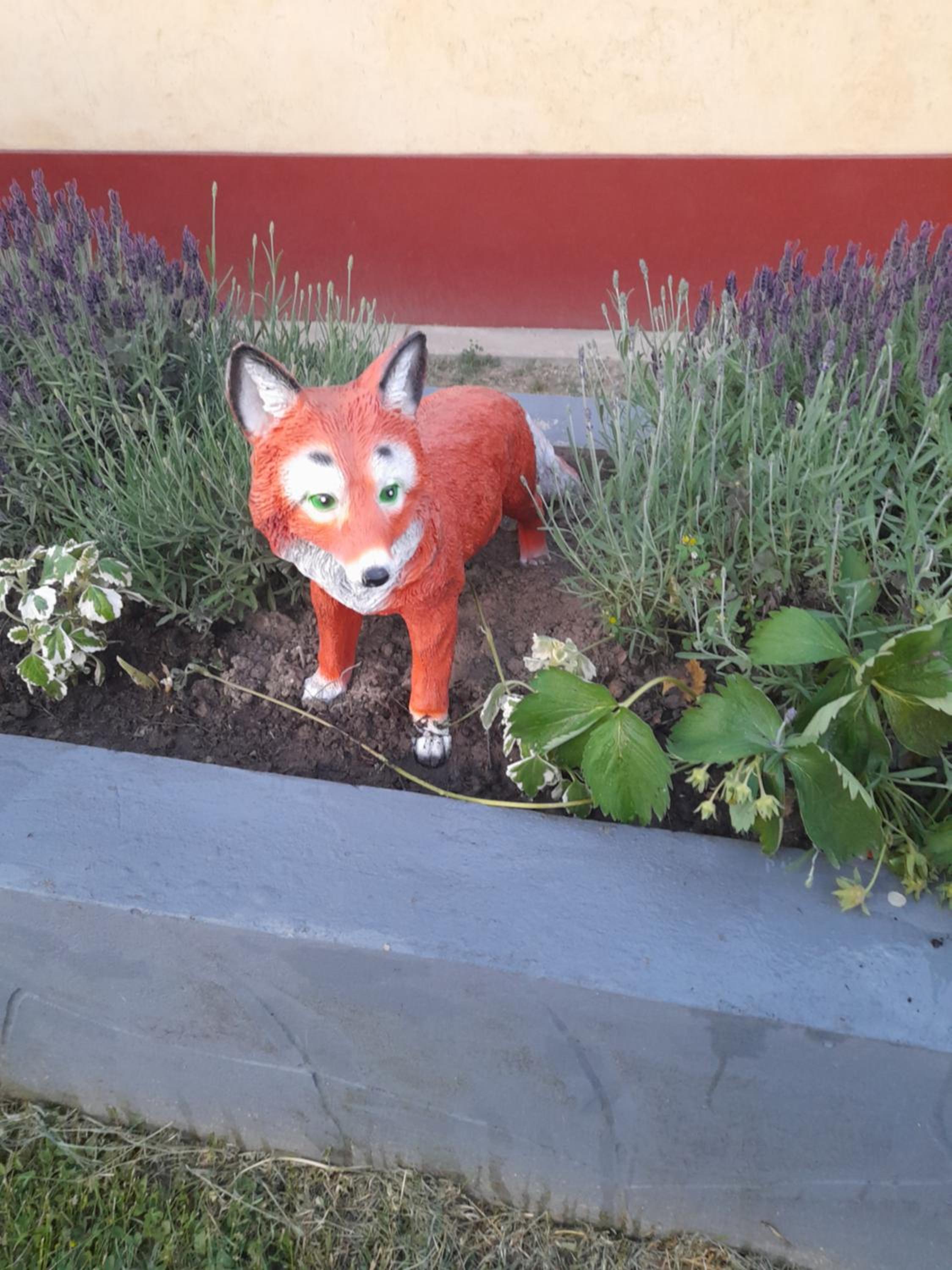 Photo 36
