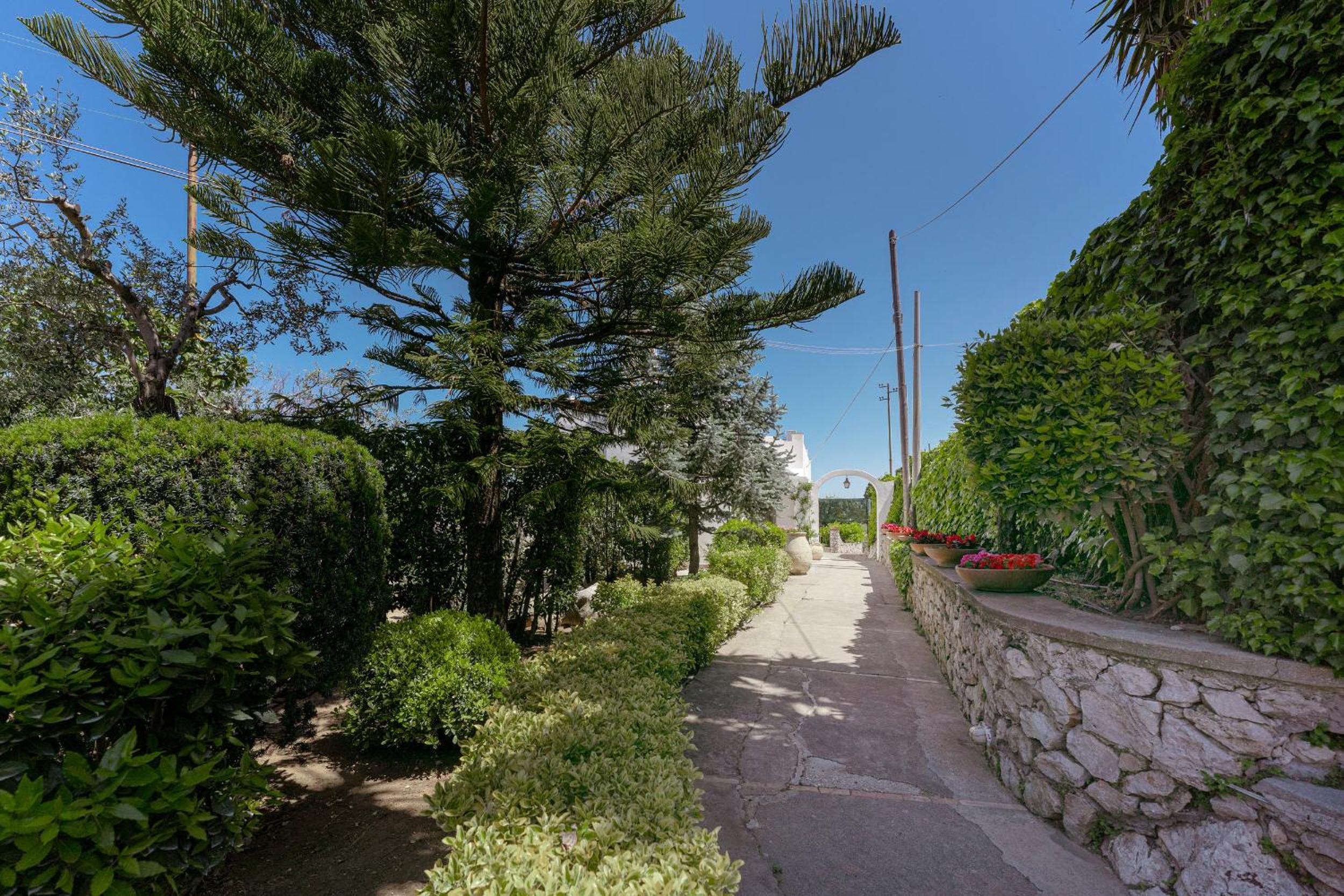 Photo 88