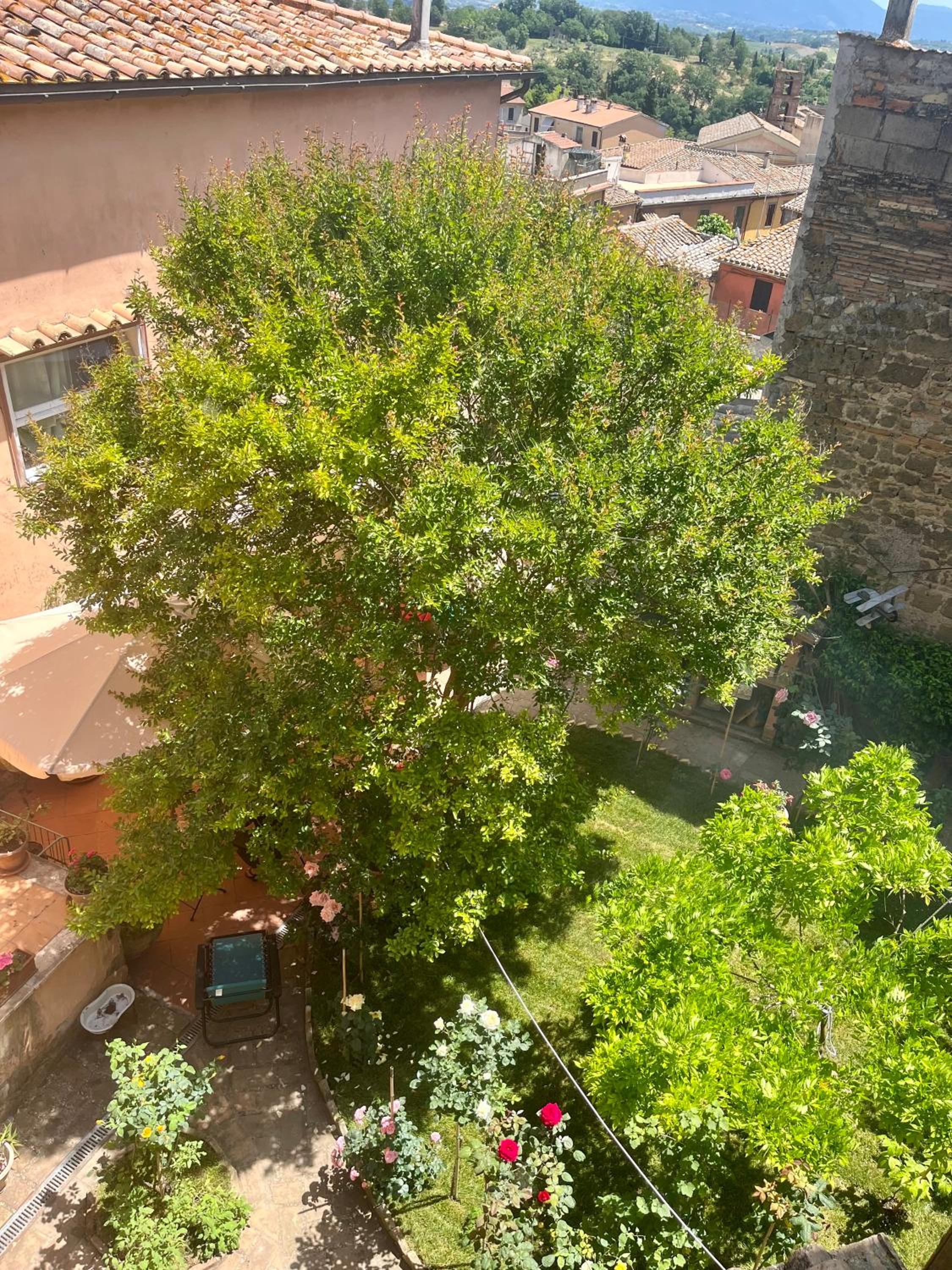 Photo 32