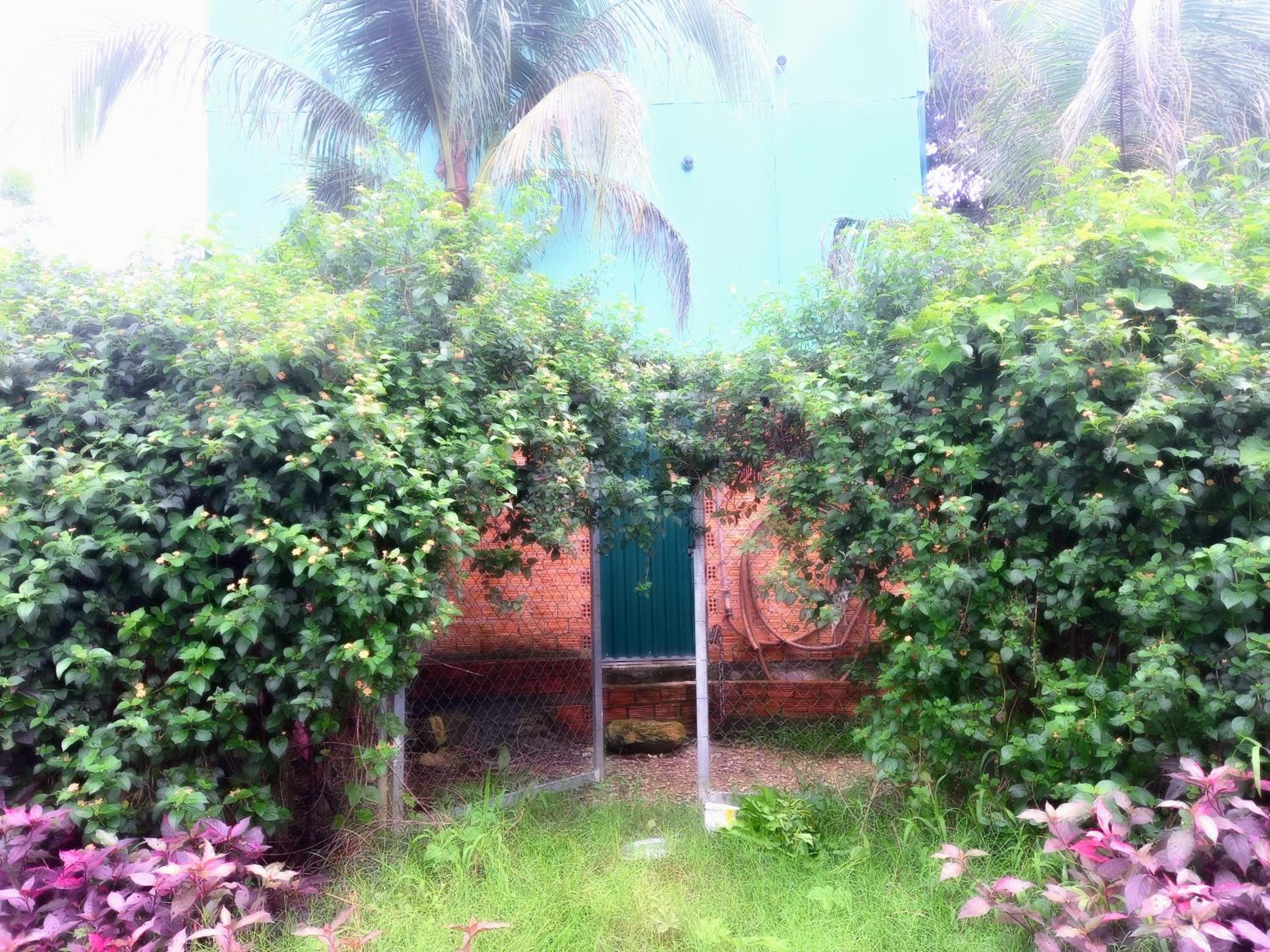 Littlefarm - Nam Cat Tien view 4