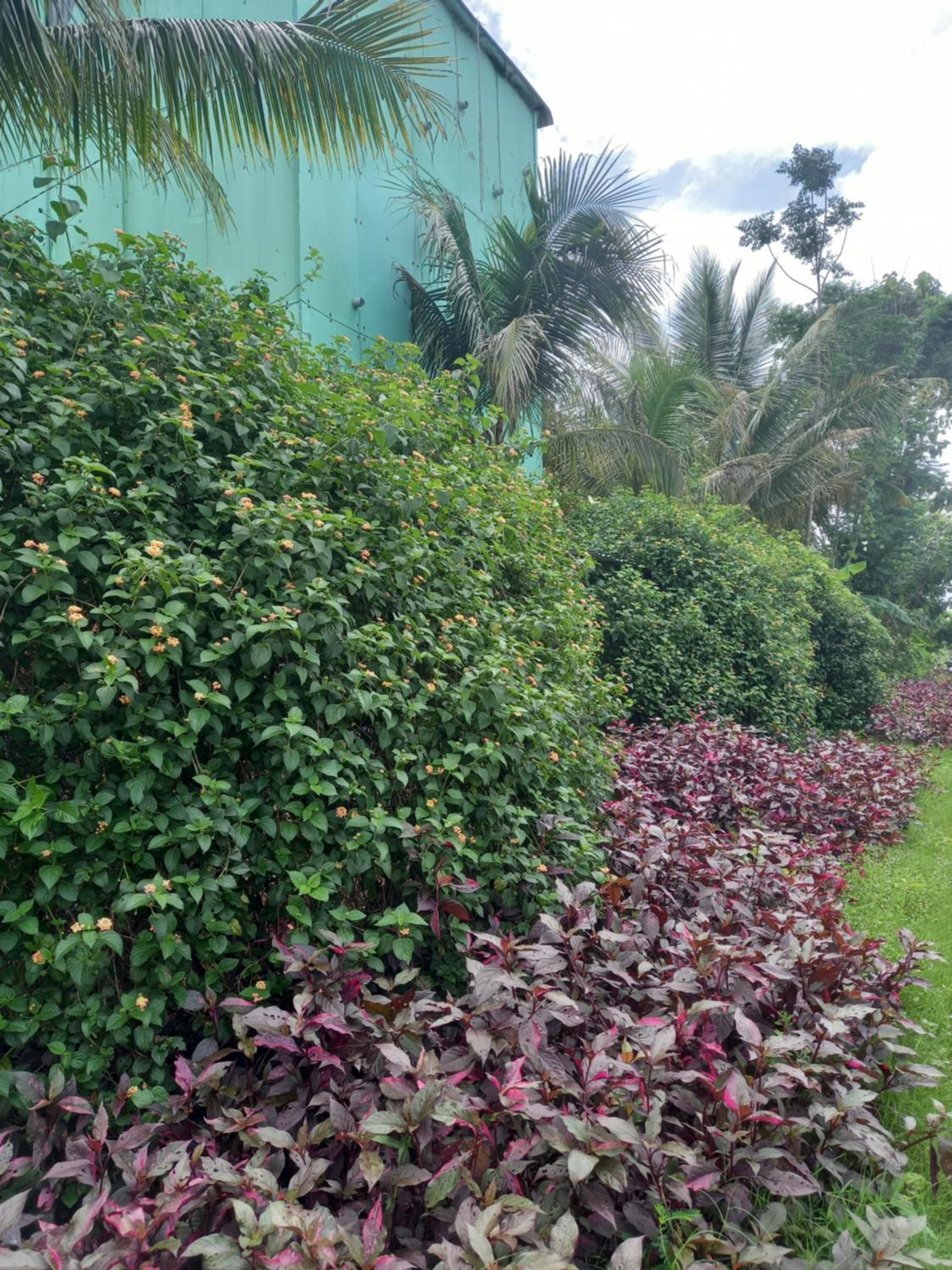 Littlefarm - Nam Cat Tien view 3