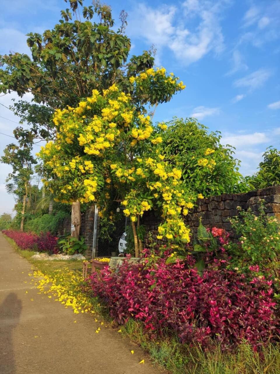 Littlefarm - Nam Cat Tien view 5