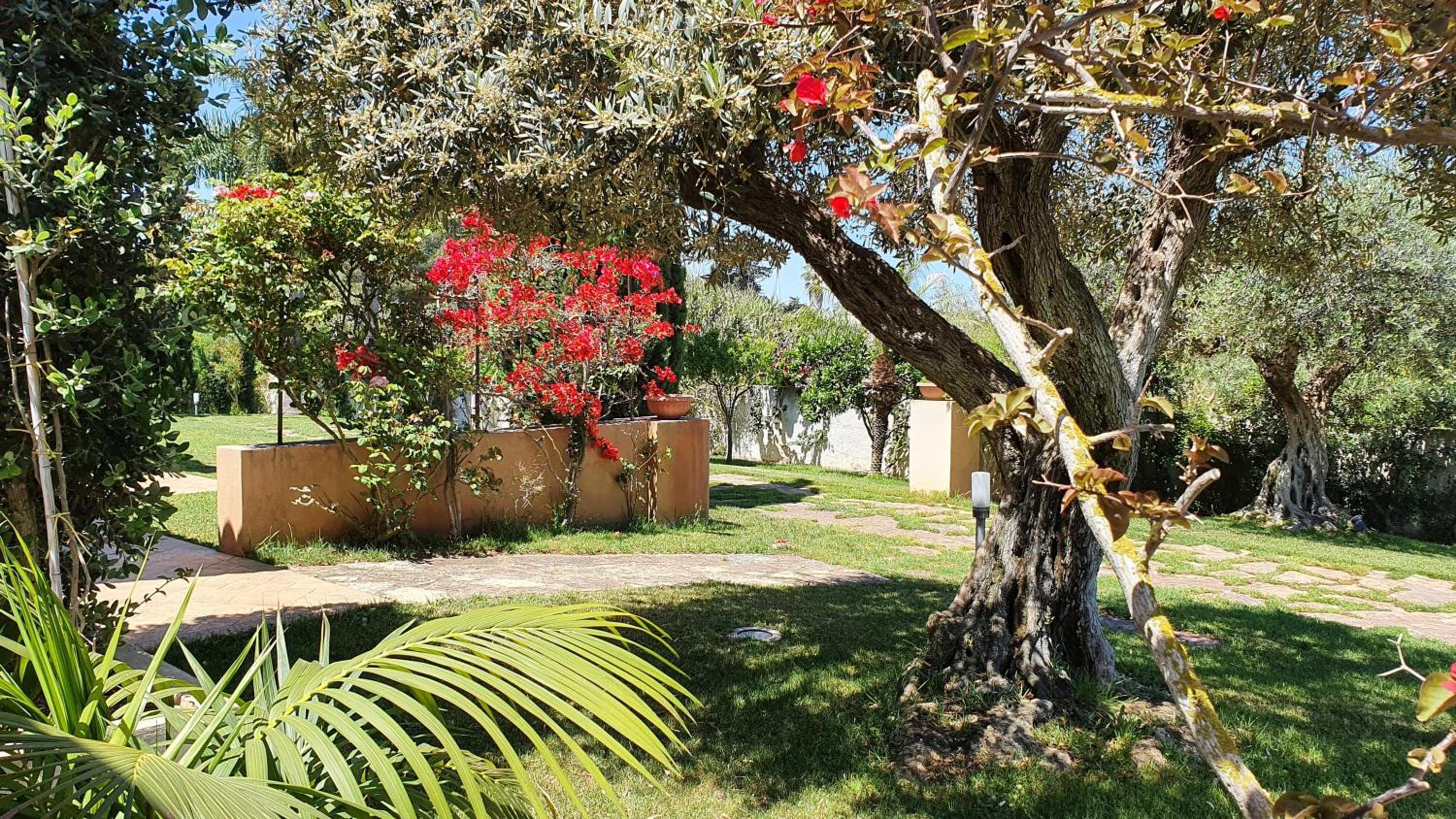 Villa Dammusello