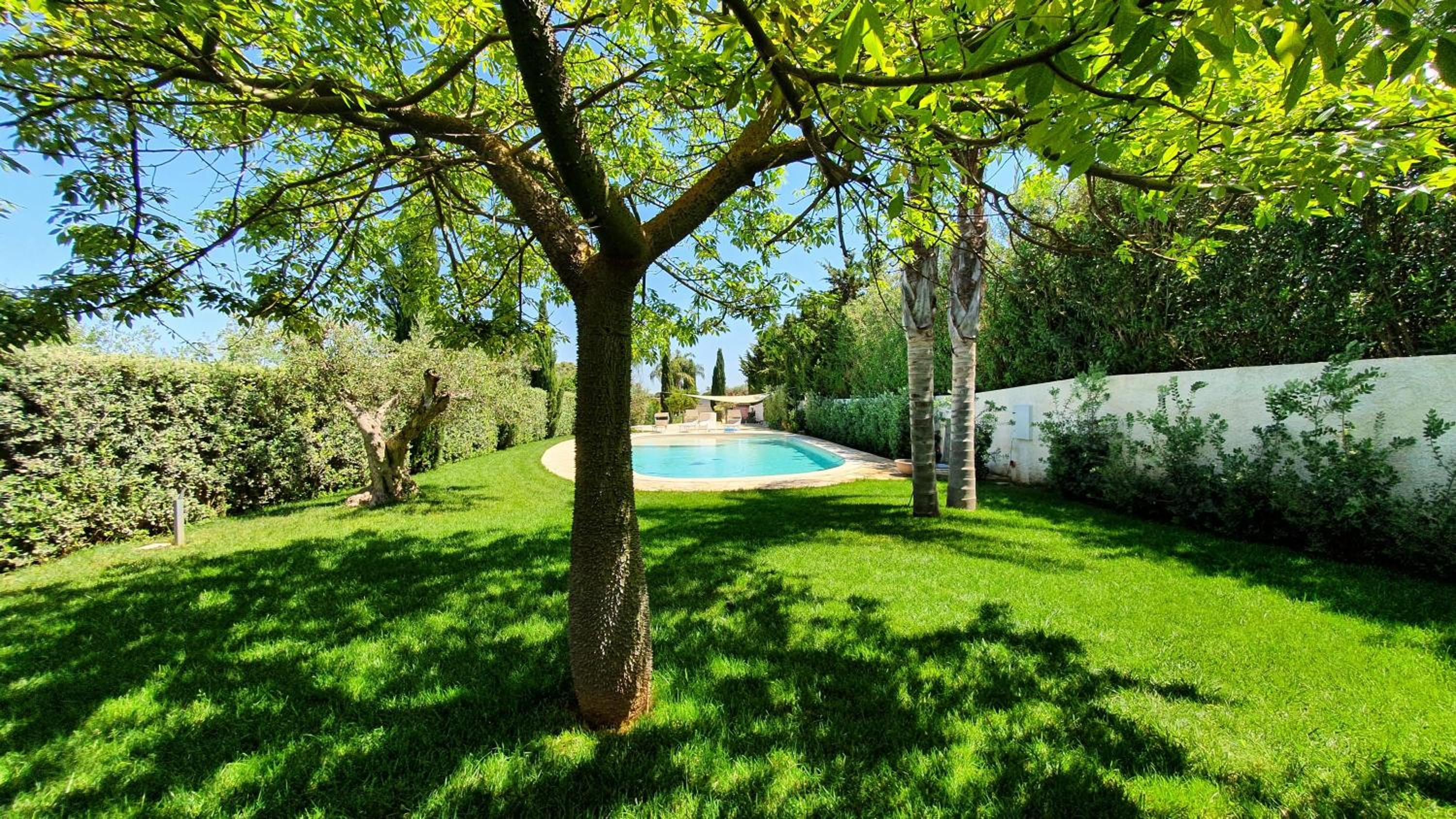 Villa Dammusello
