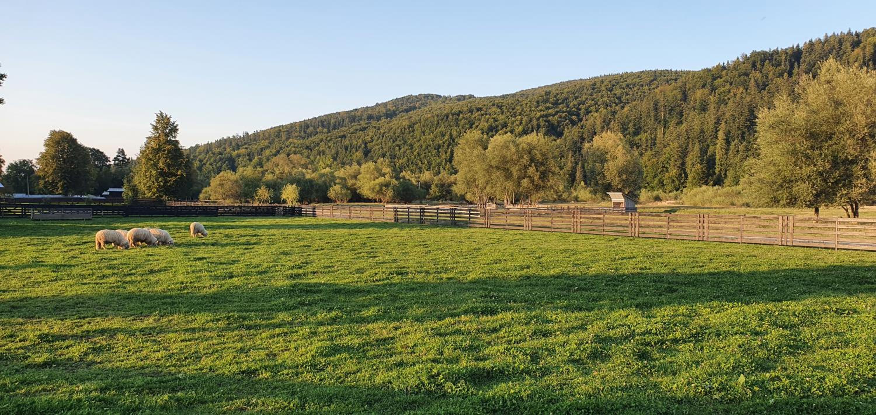 Pensiunea Miorița Putna view 4