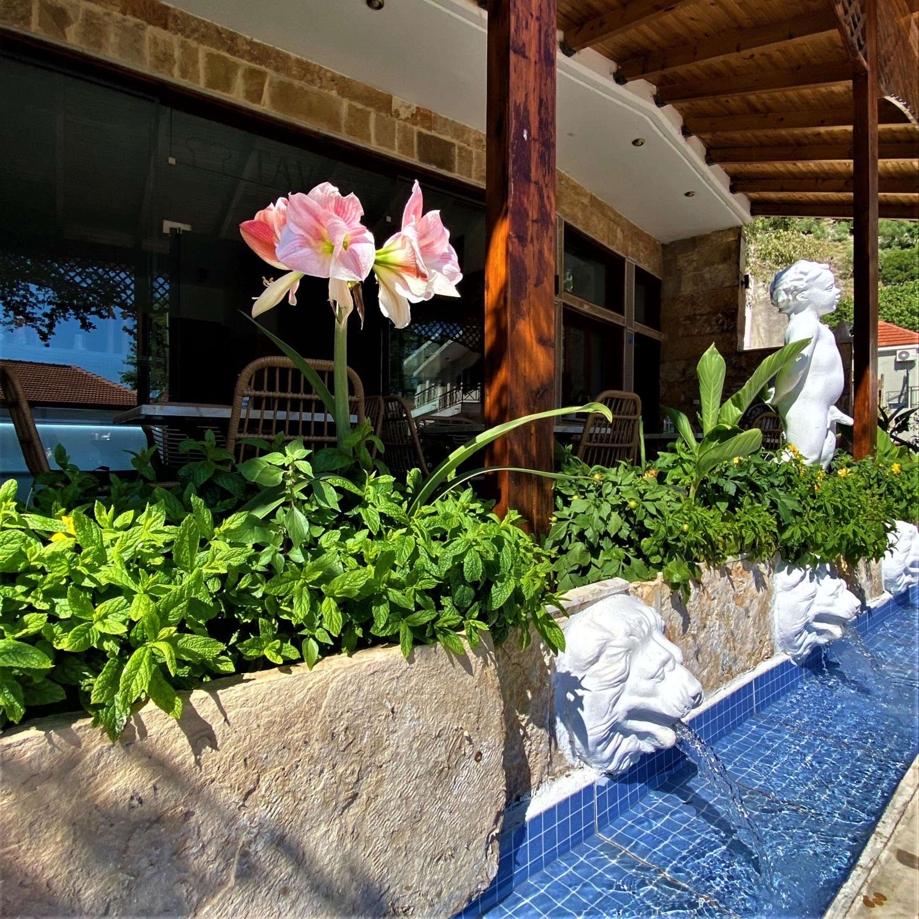 Costas Inn