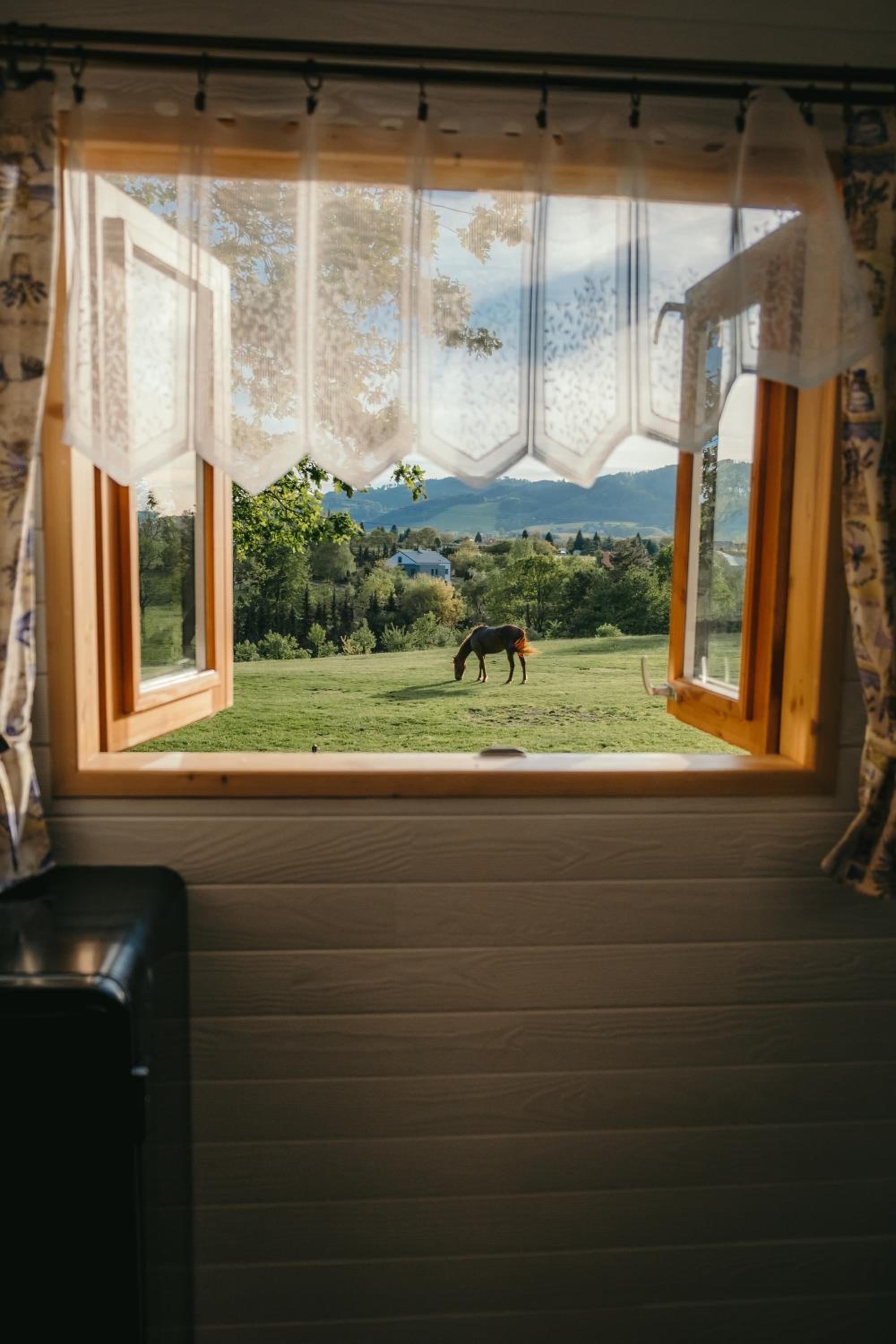 Chata u lesa RANCH NA HRANICI