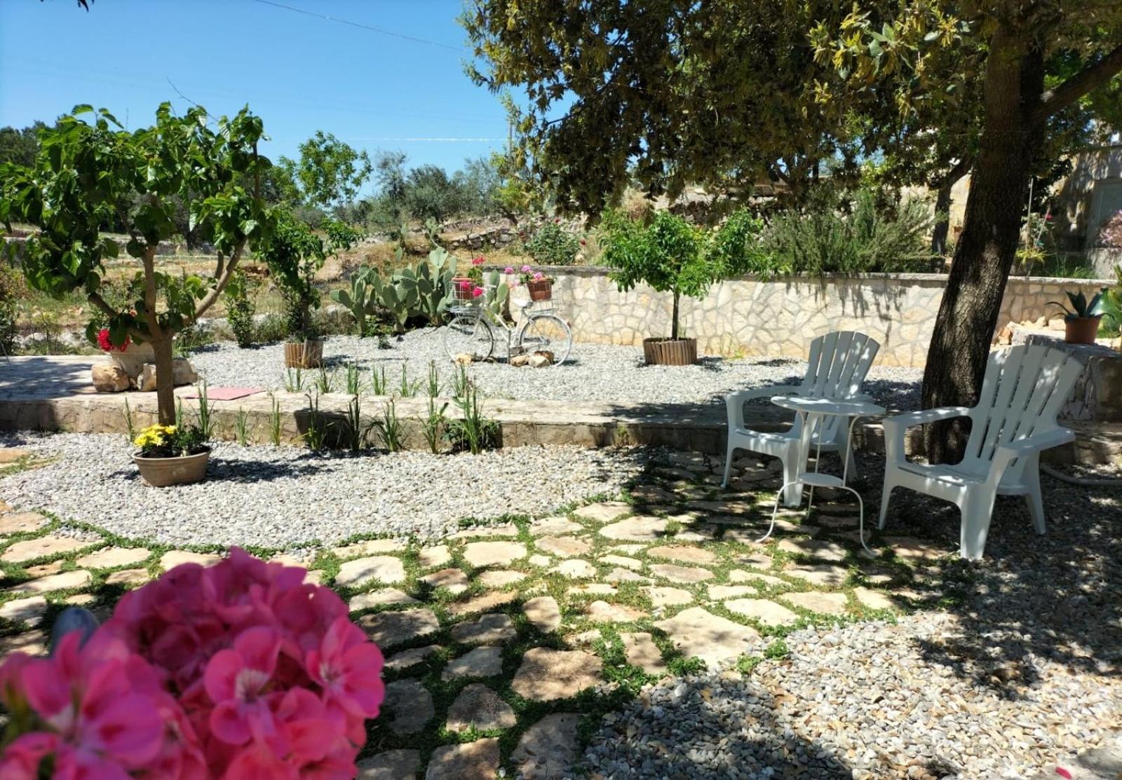 Photo 41