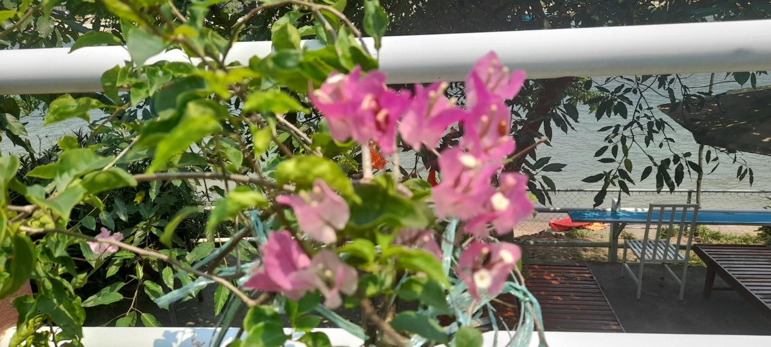 Carambola Bungalow