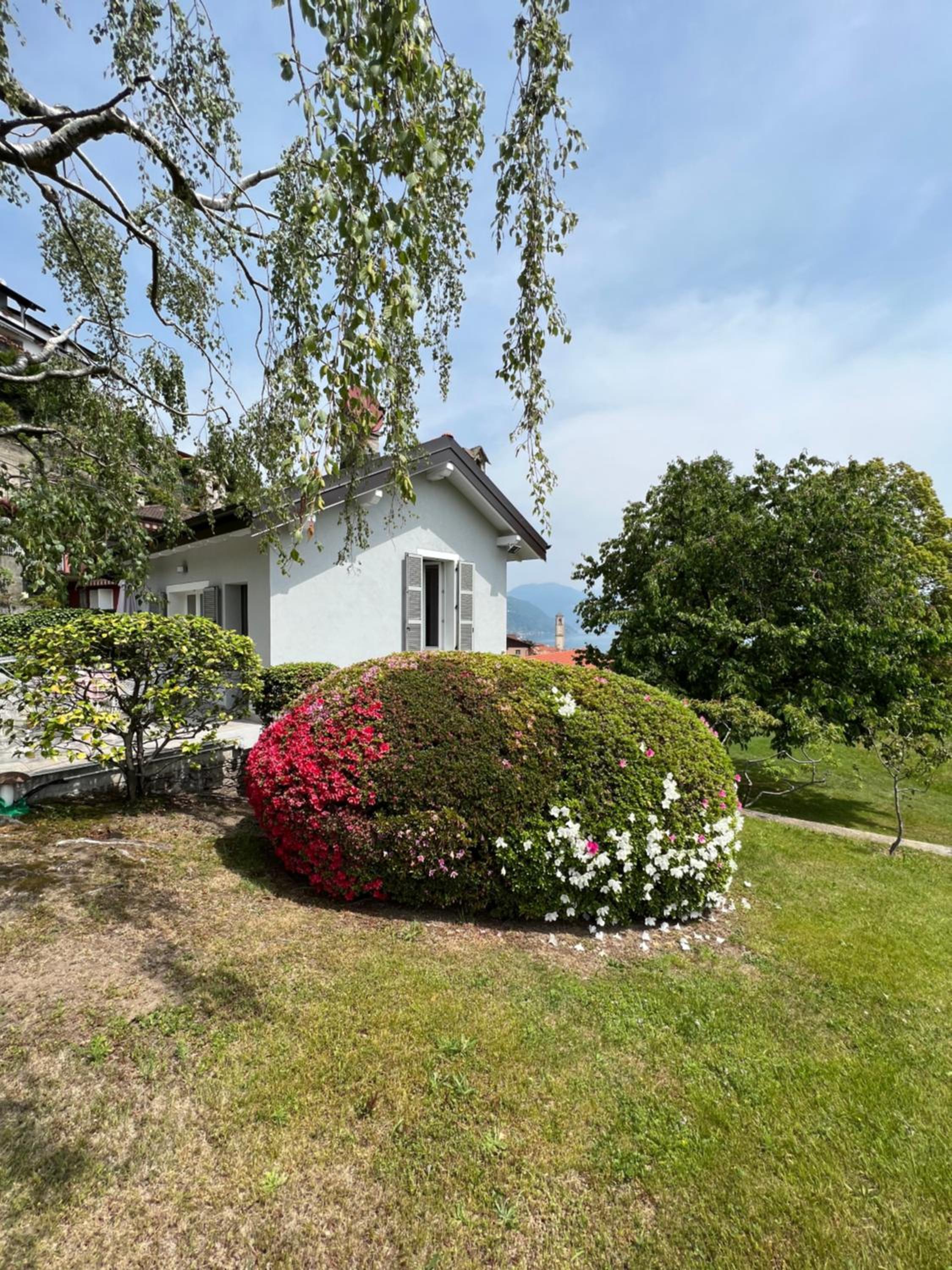 Photo 46