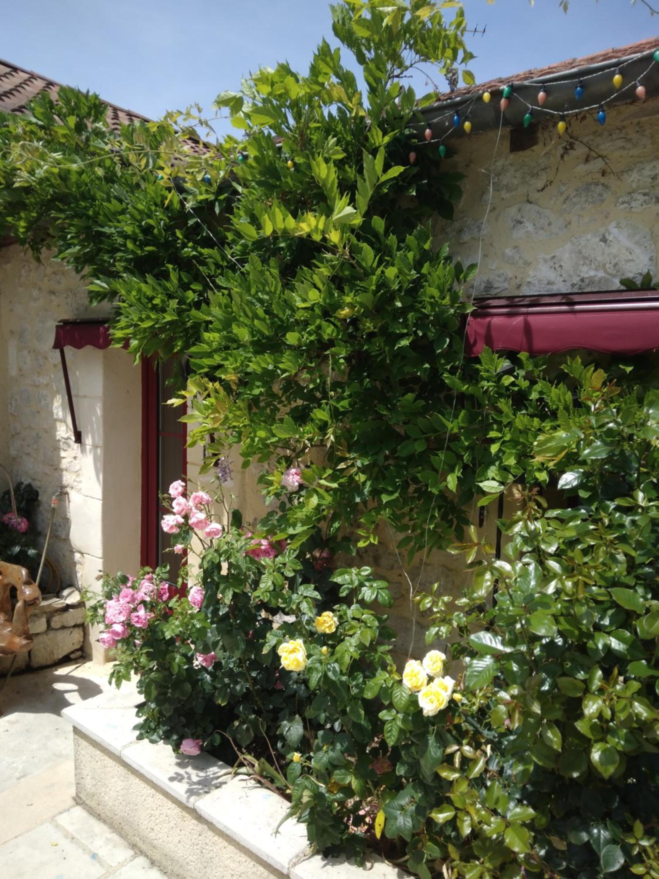 Photo 14