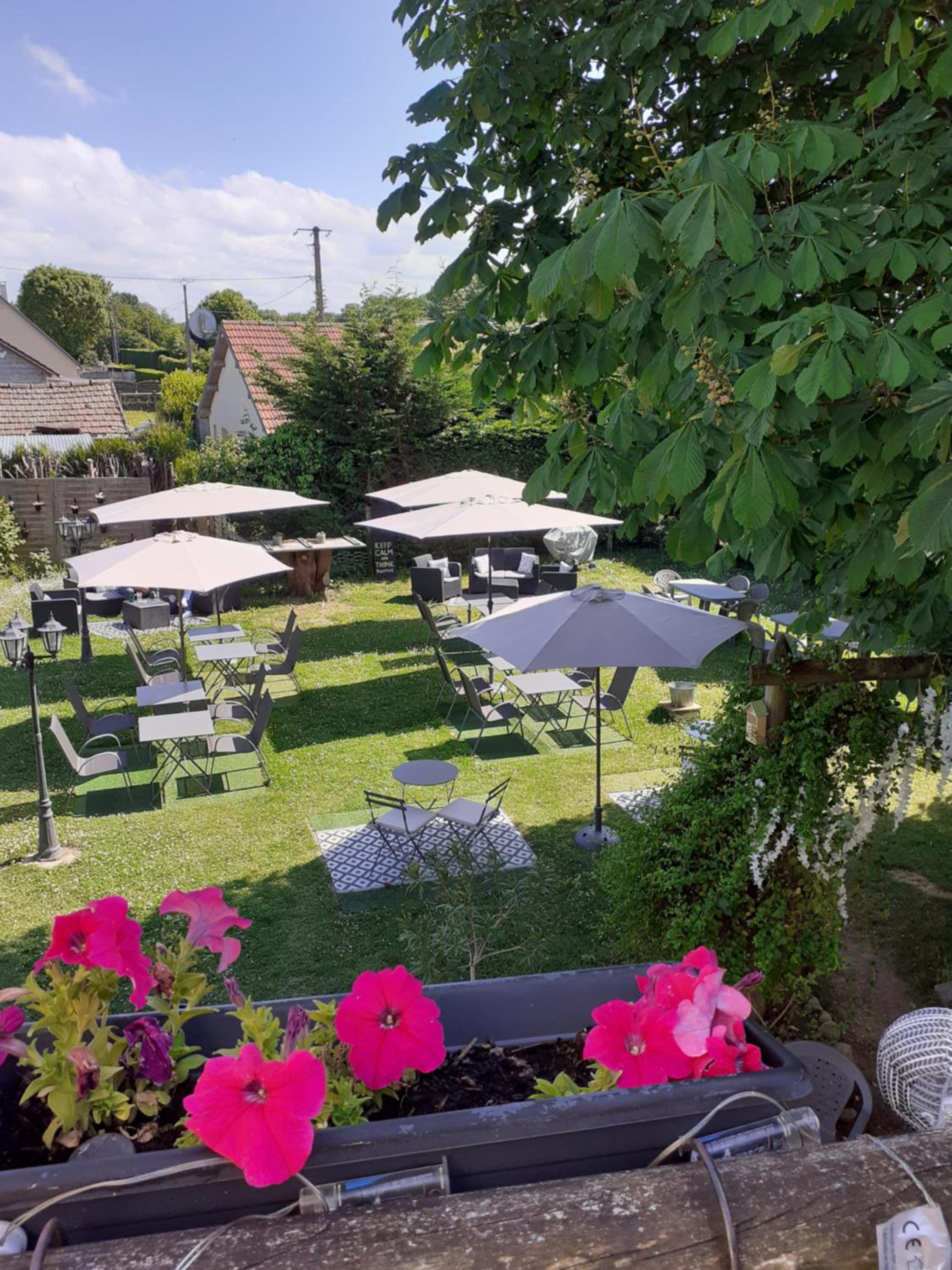 garden