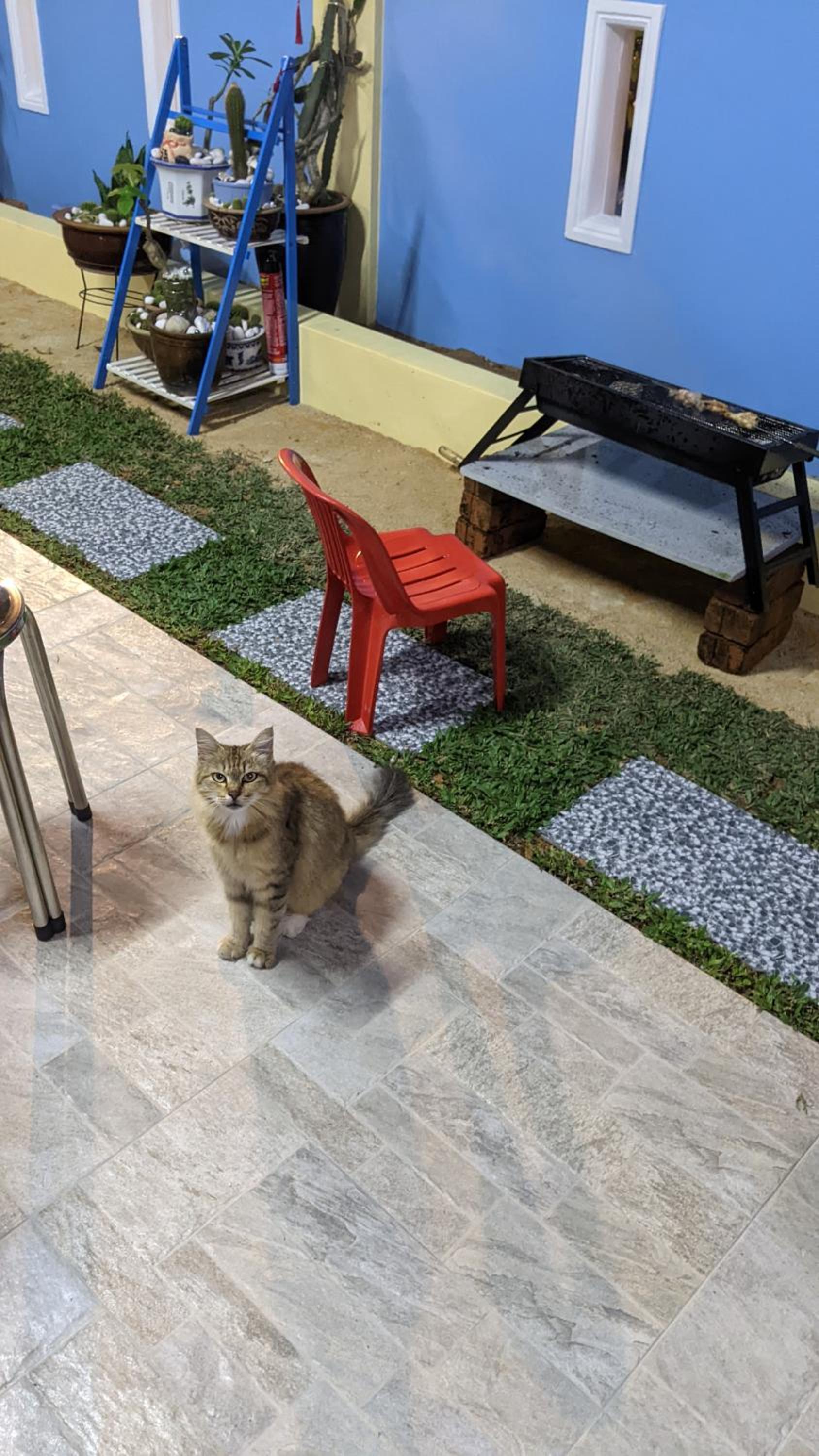 Johor Bahru 6 Bedrooms Corner House: Big & Comfort