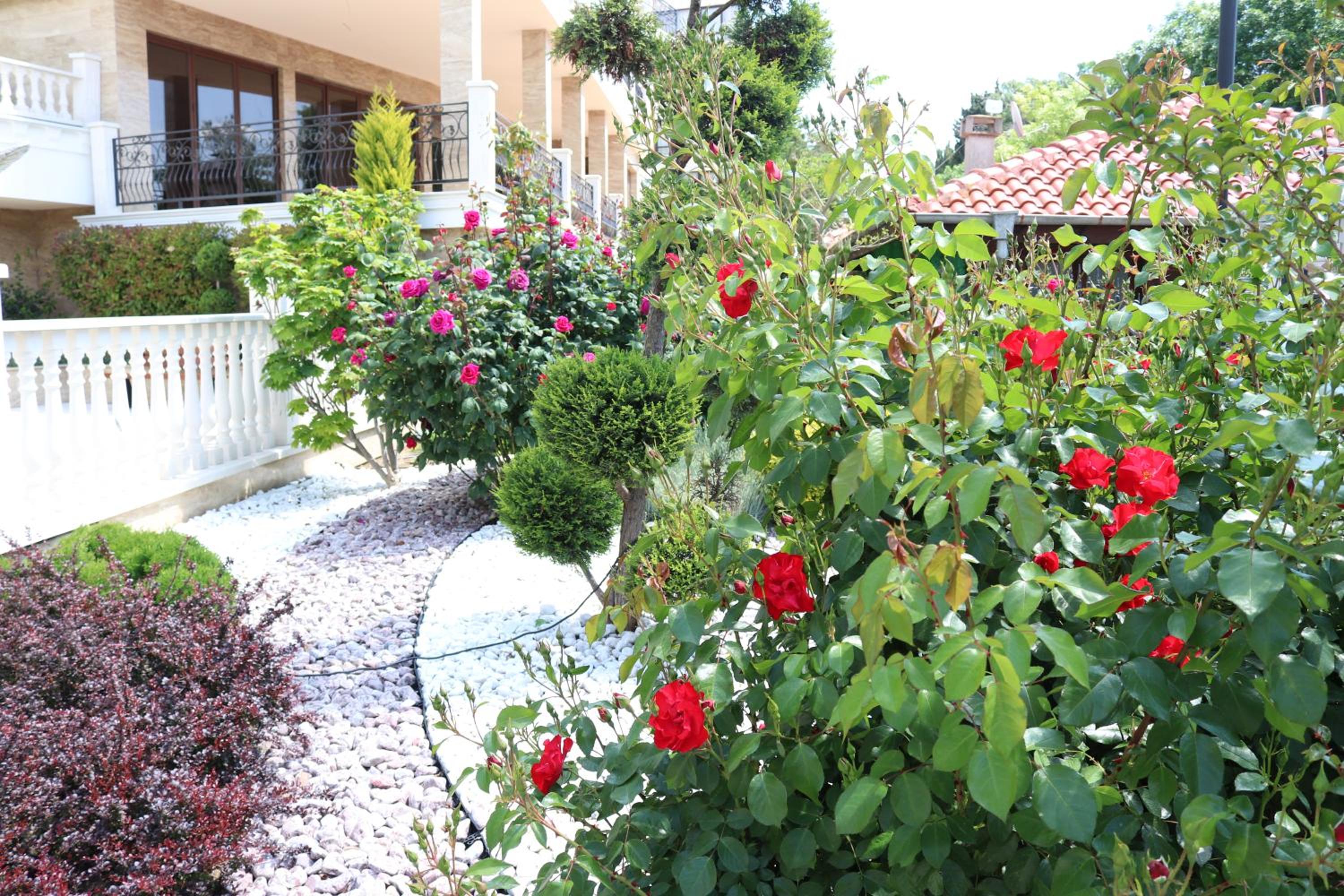 Valencia Gardens Luxury Studios