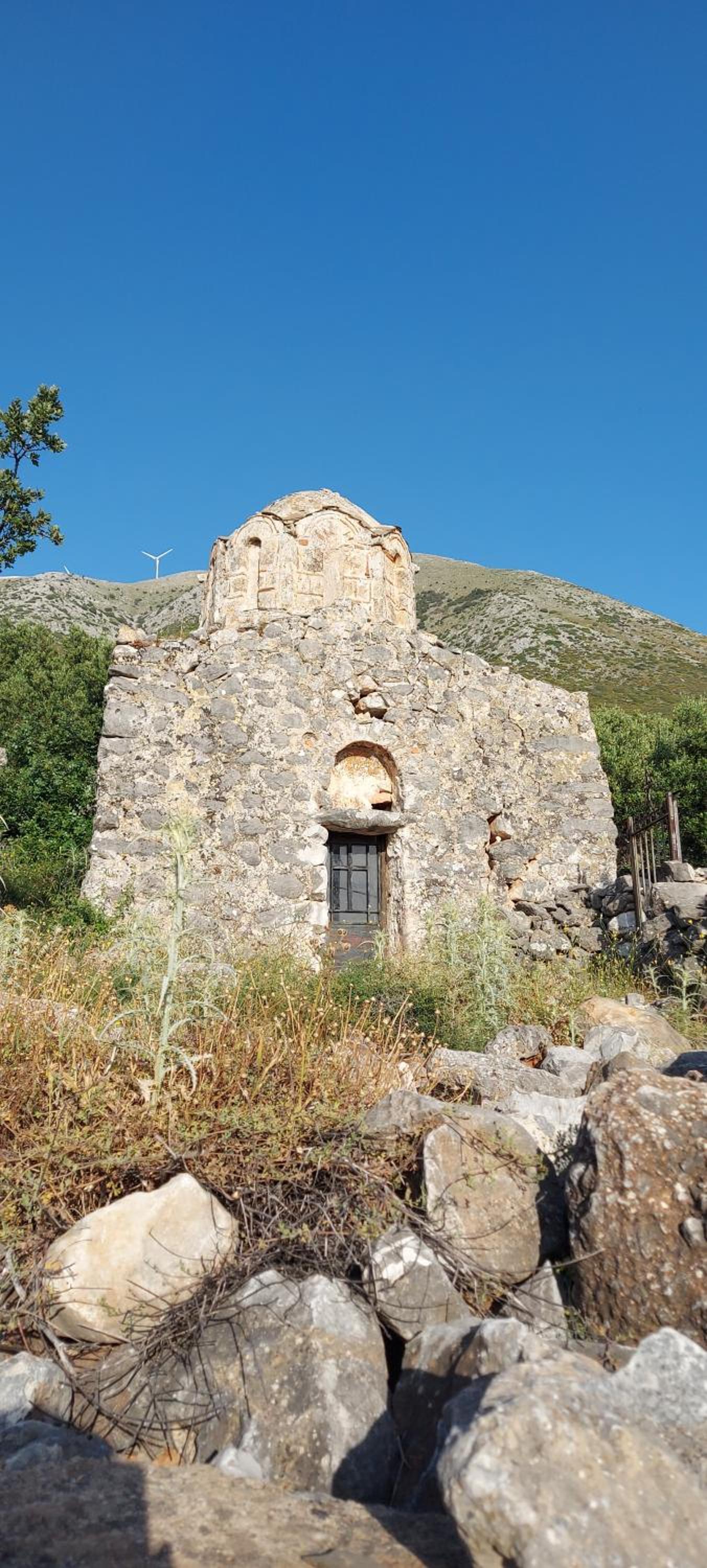 Photo 49
