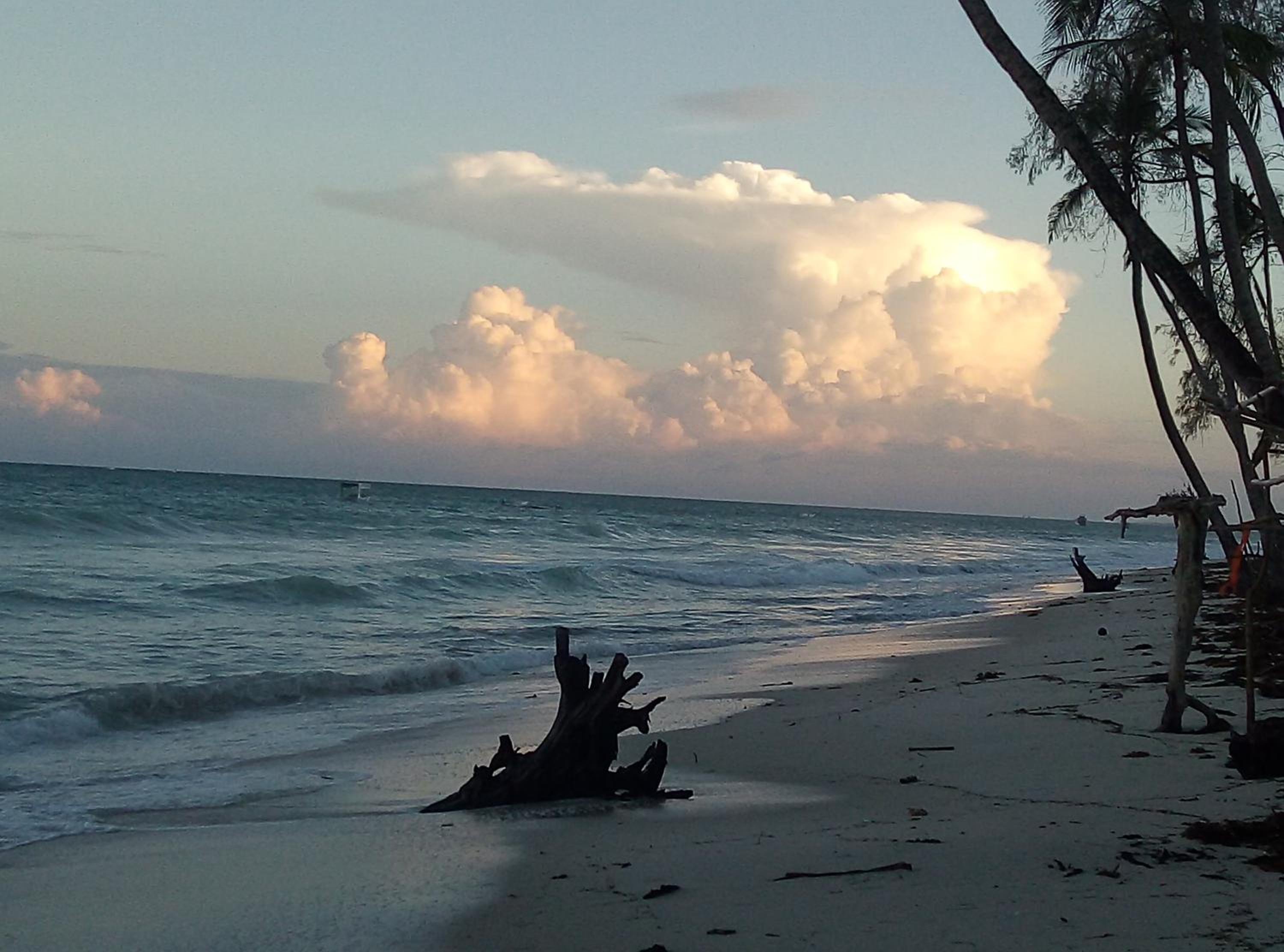 Aqua Resort, photo 179