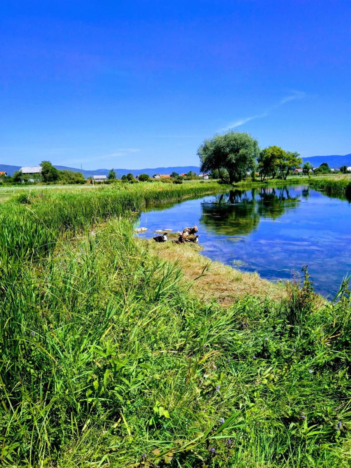 Photo 46