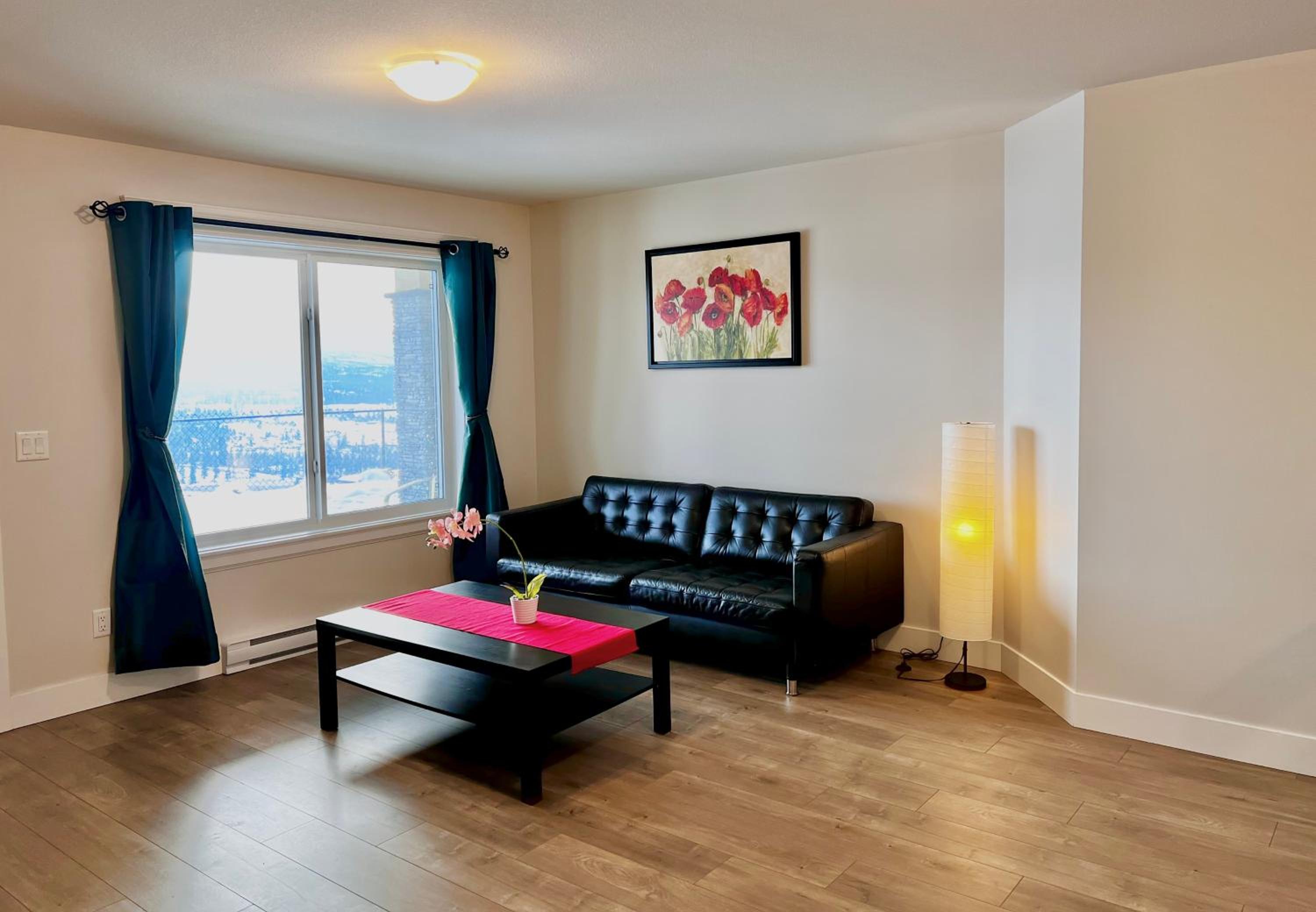 Kelowna Vacations - Kelowna new lake view 2bedrooms close BIG WHITE - Property Image 1