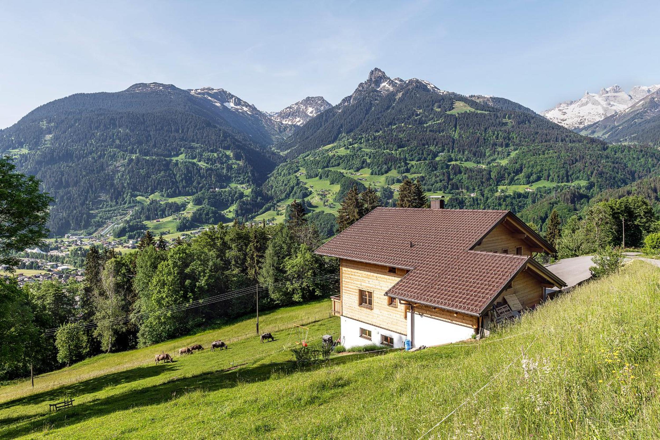 Haus grüner Wald