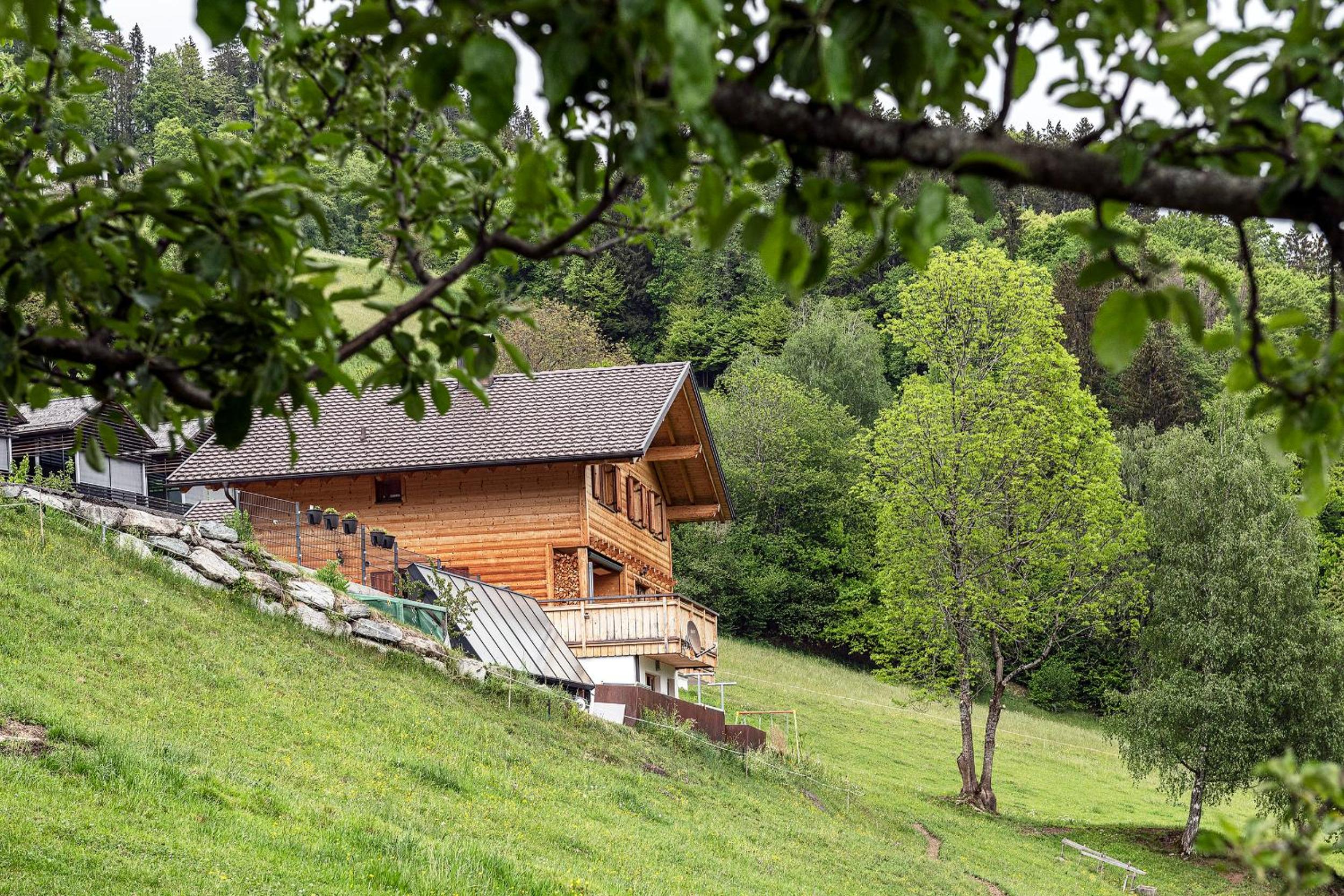 Haus grüner Wald