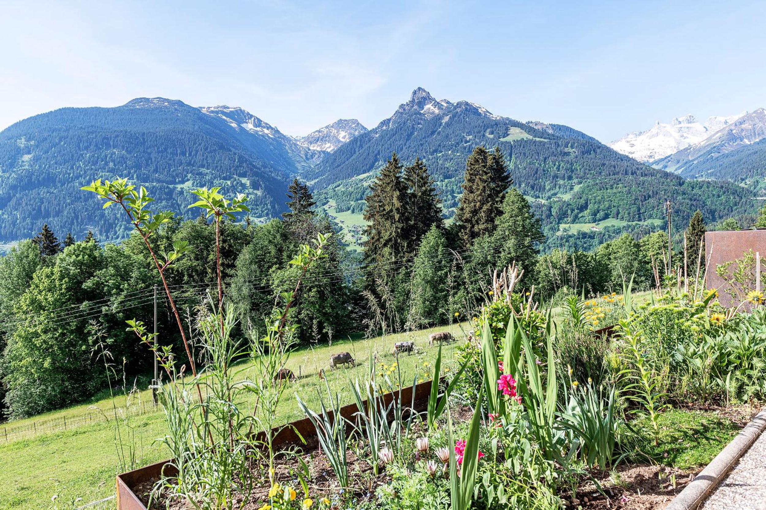 Haus grüner Wald