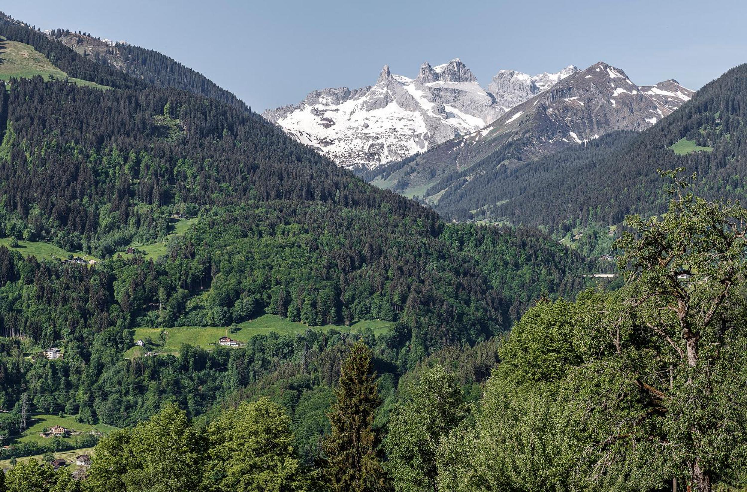 Haus grüner Wald