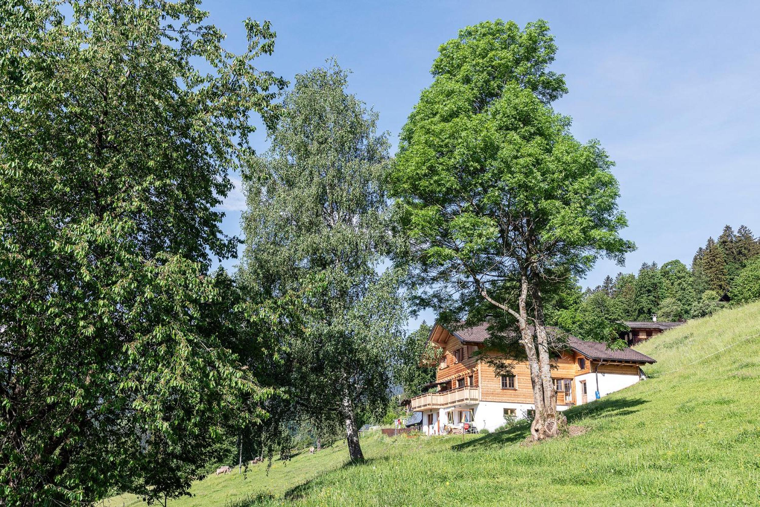Haus grüner Wald