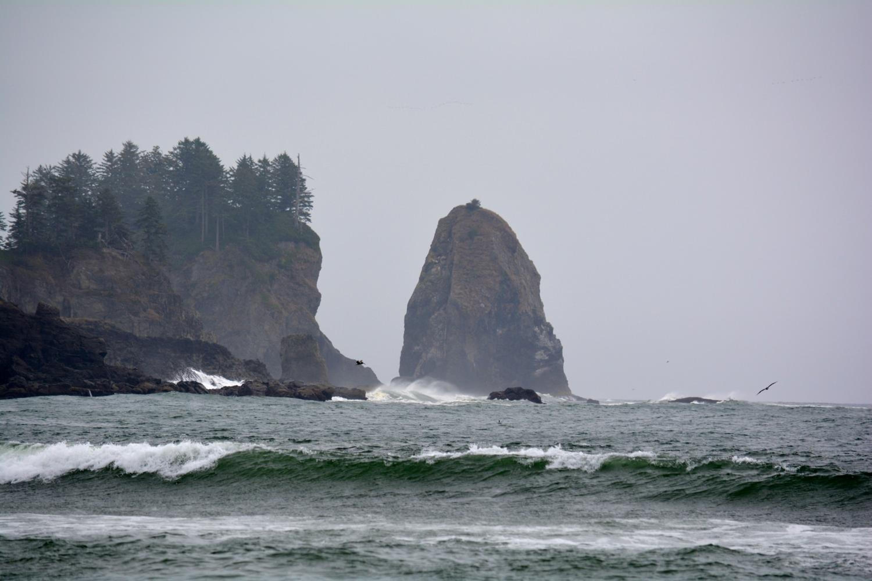 Photo 48