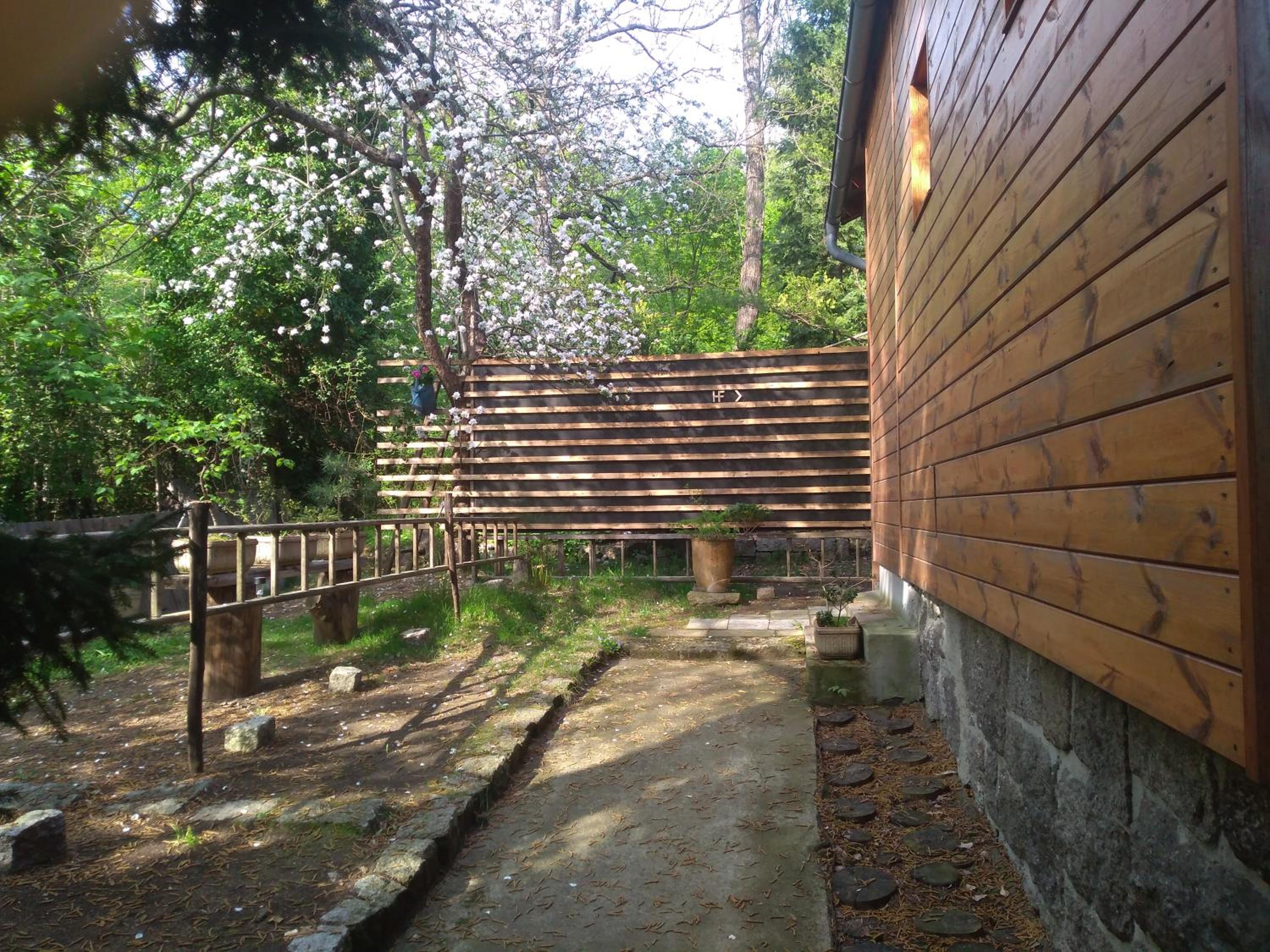 Photo 13