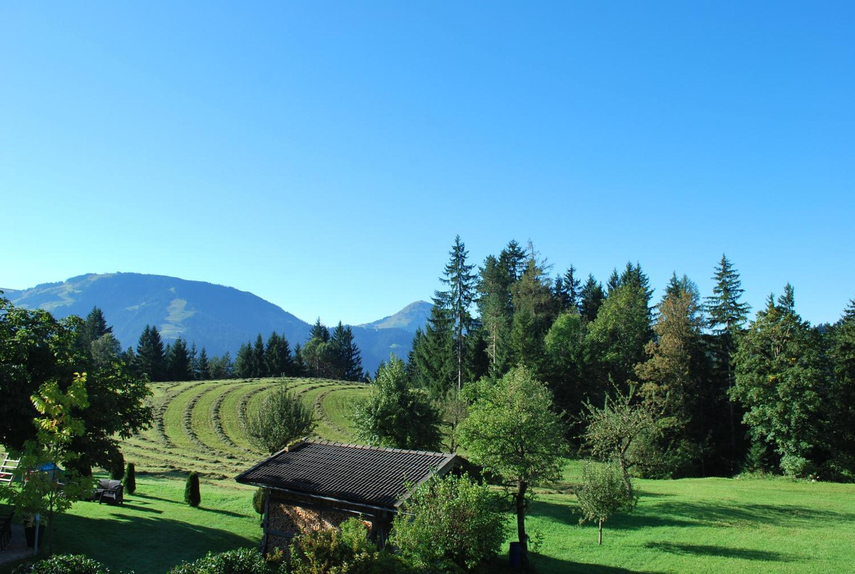Berggasthof Bärnstatt