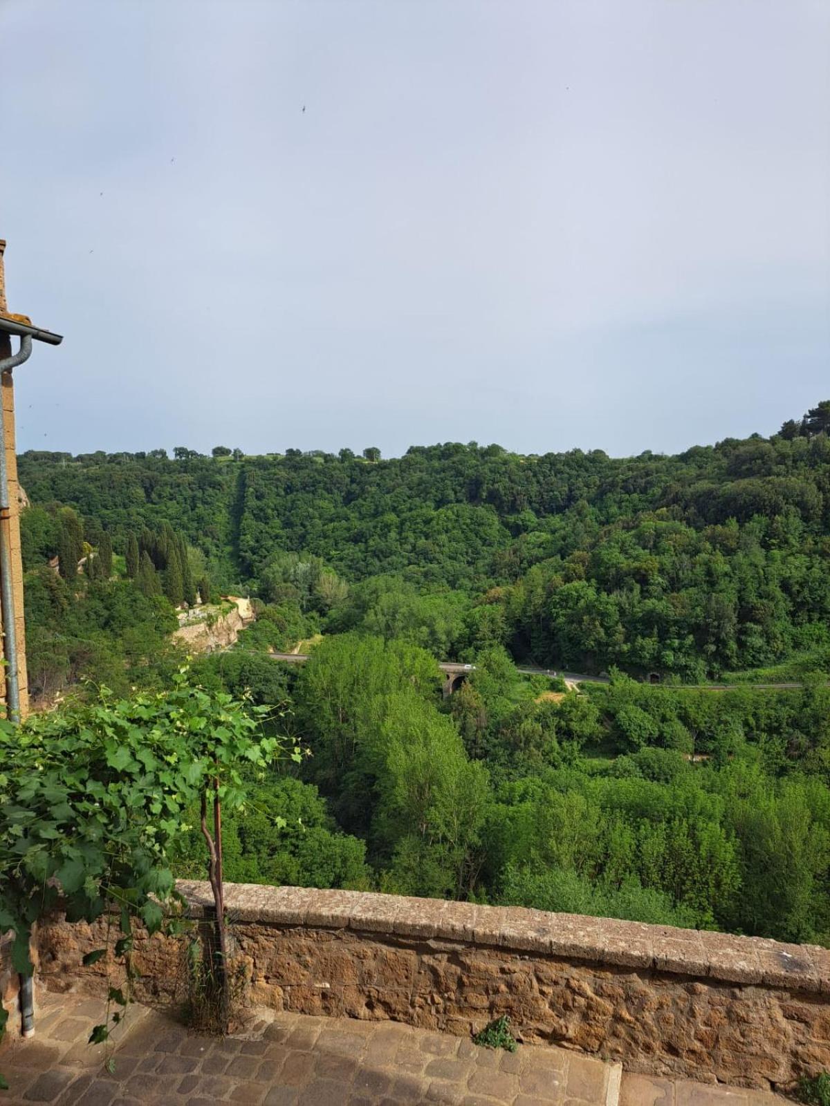 Il Gelsomino Apartment view 3