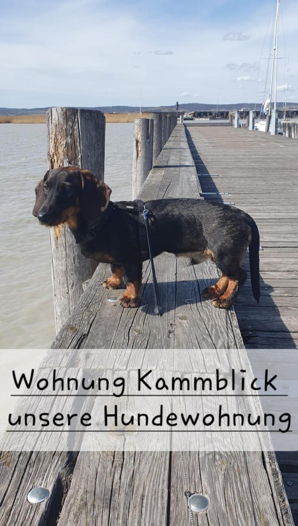Ferienwohnungen Bergpanorama