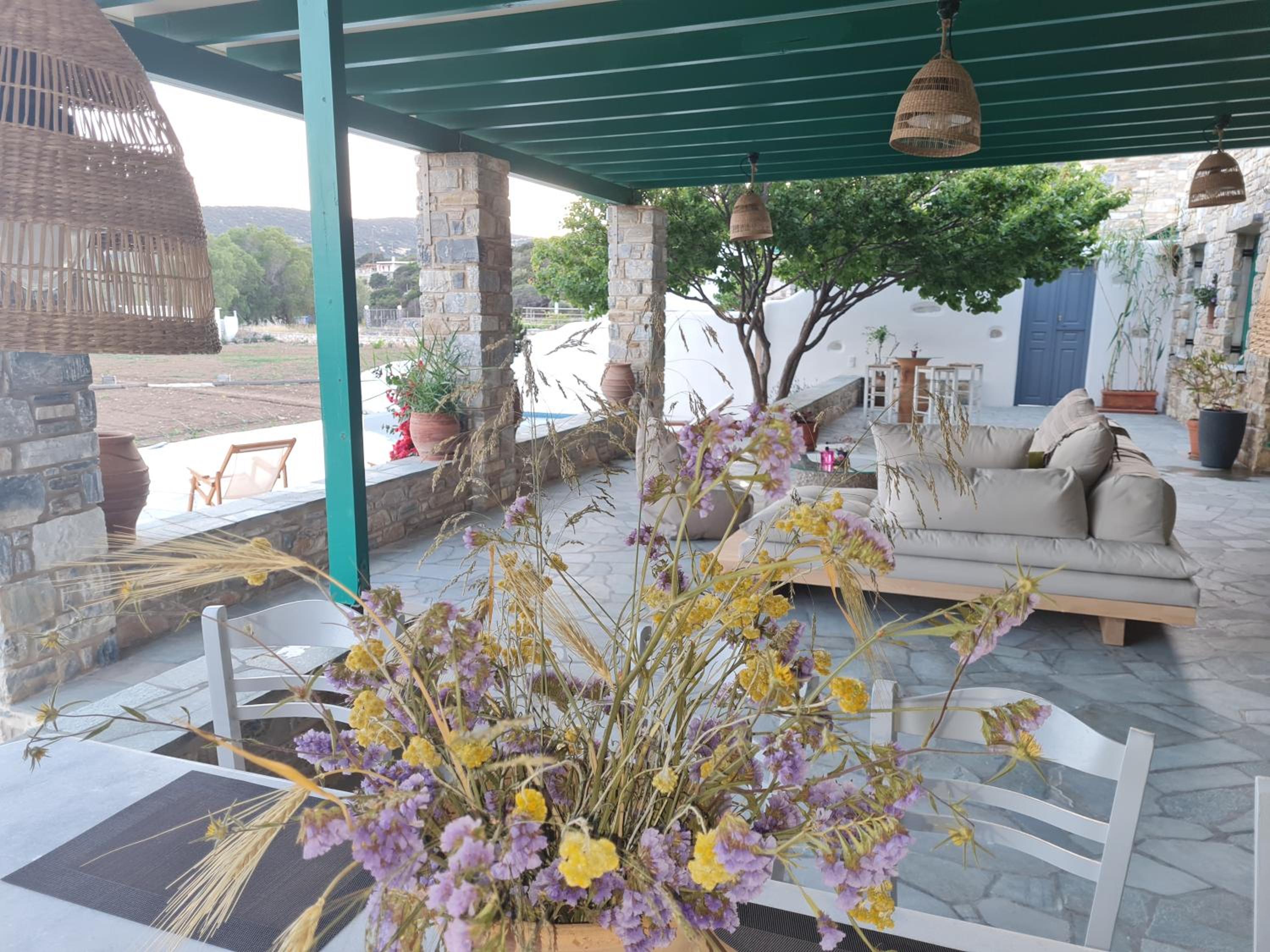 Photo 32