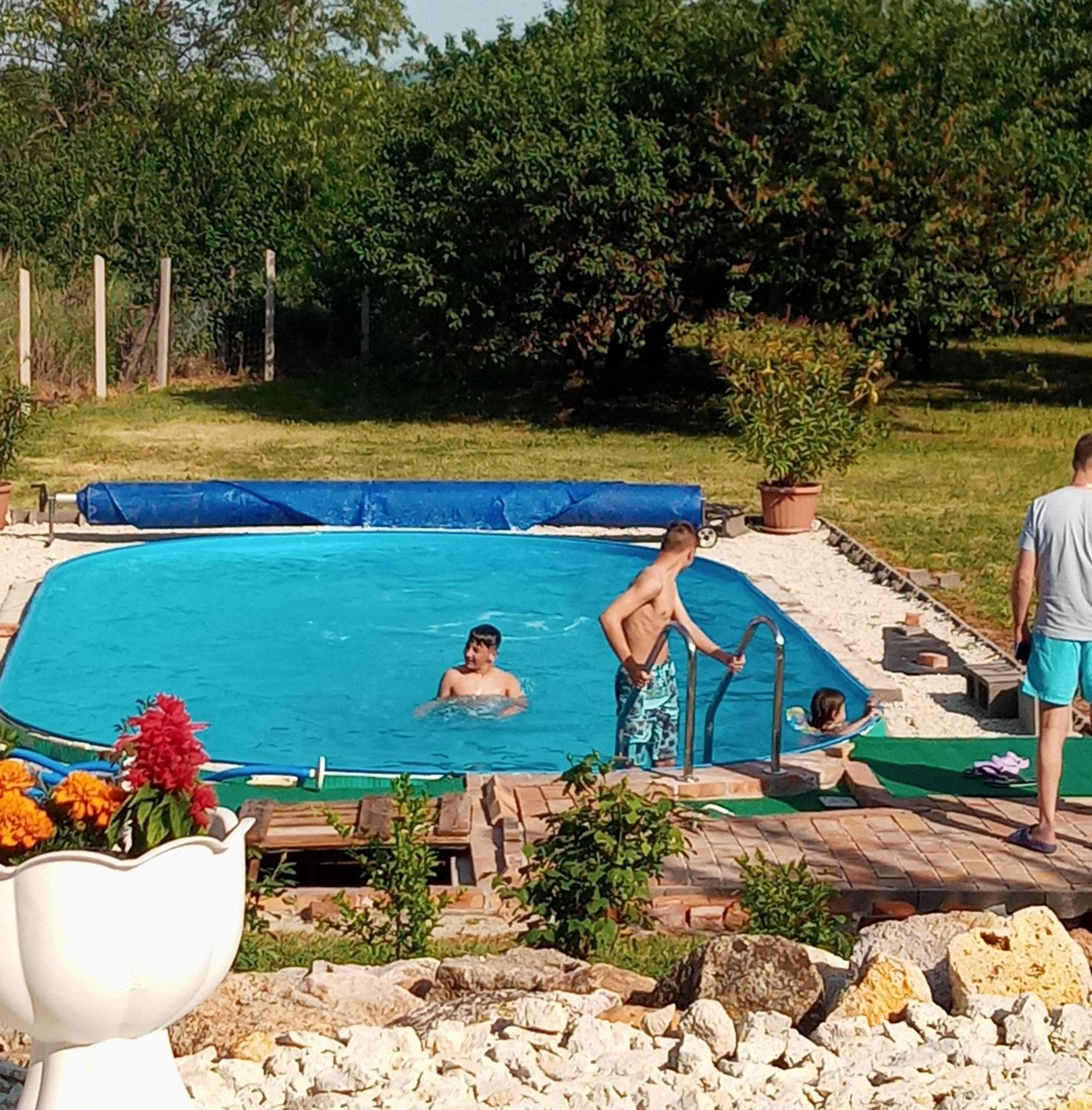 Photo 46