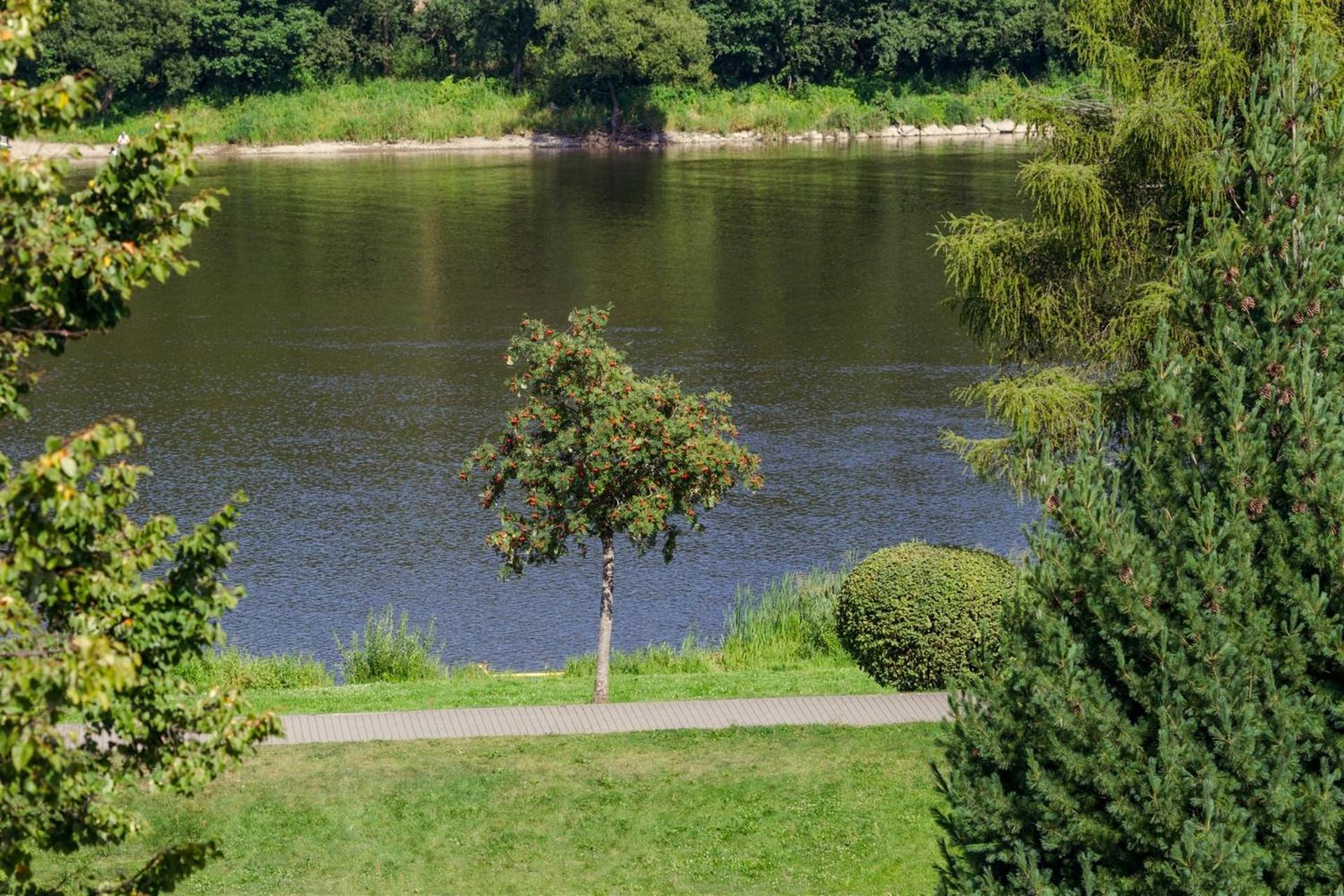 Airida Forest Apartment