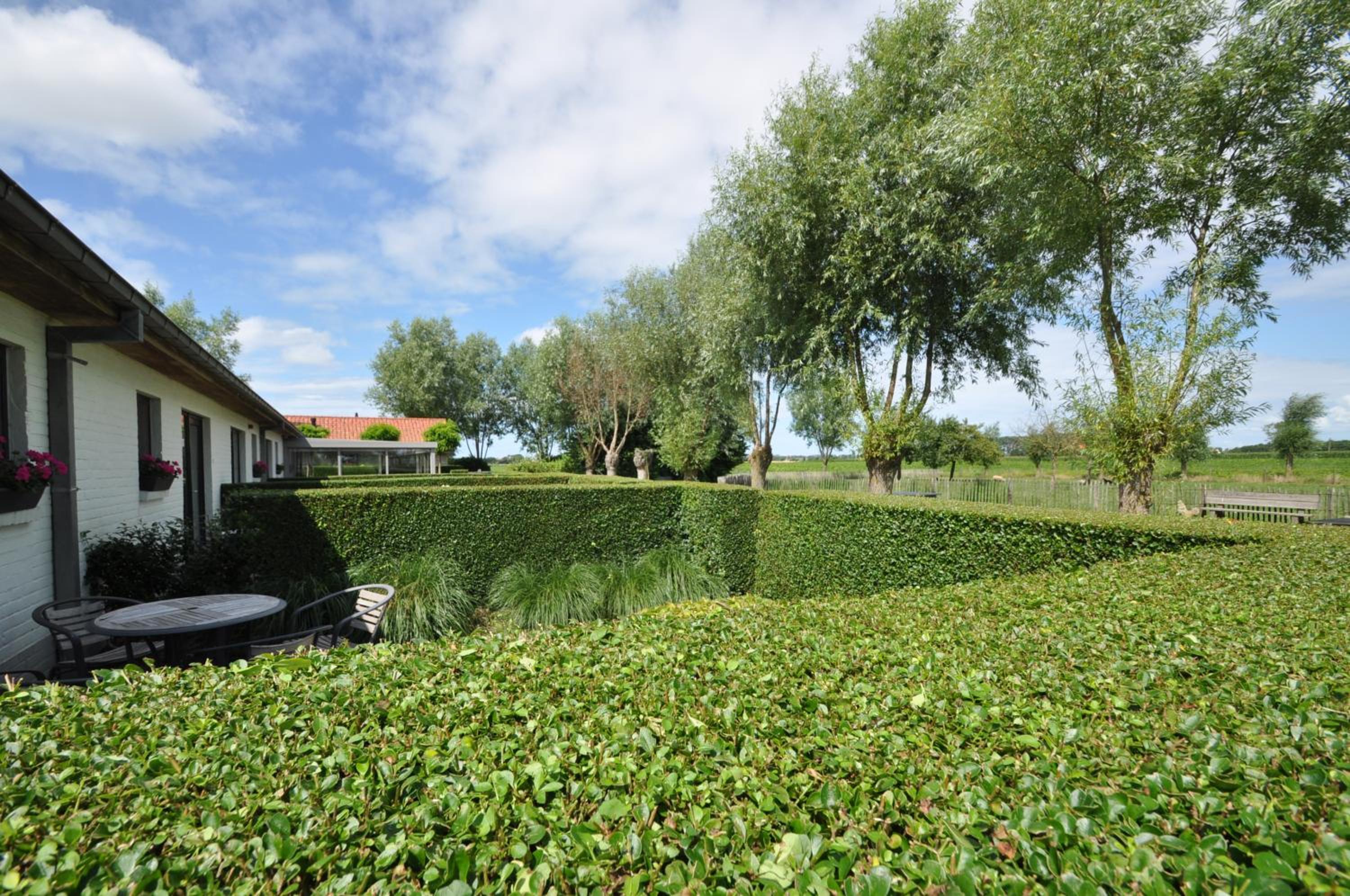 B&B Knotwilgenhoeve