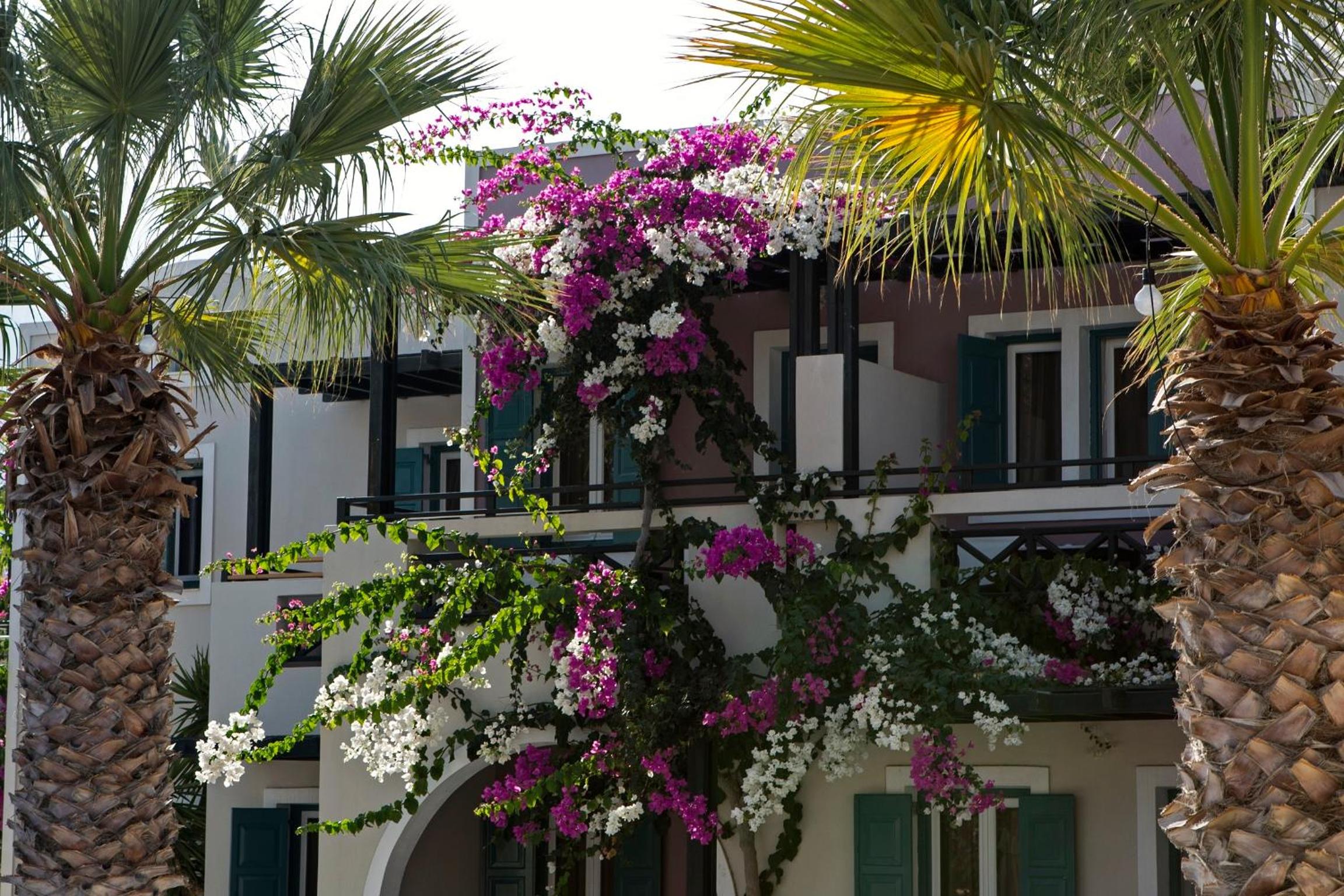 Rose Bay Hotel