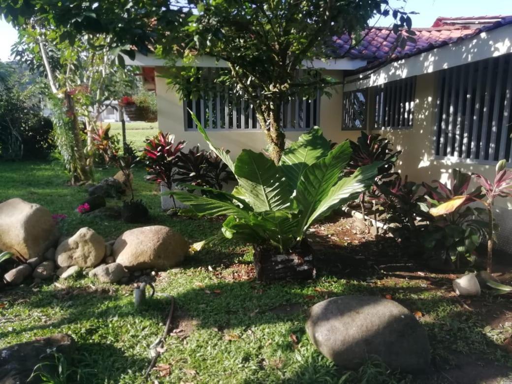 Casa Sophia 3 listings Apartment 1 or Apartment 2 separately or Apt 1 and 2 together all with FO internet view 5