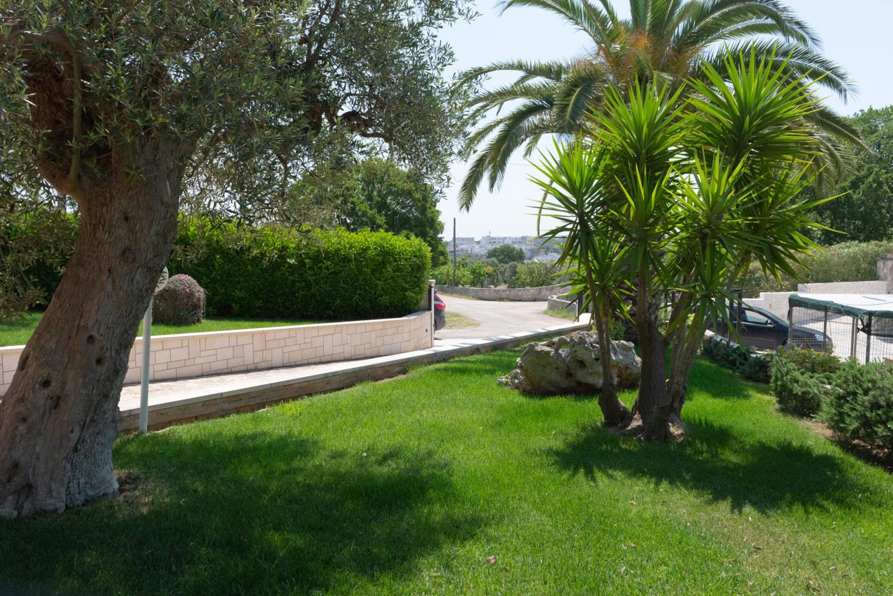 Photo 43