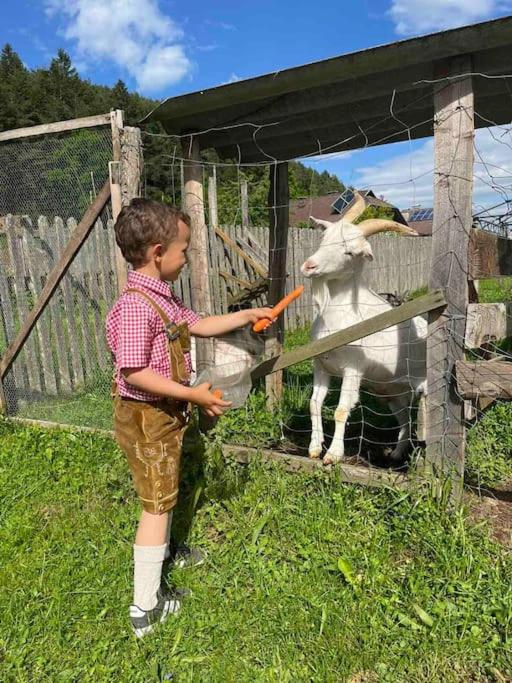 Charmantes Ferienhaus in bester Lage