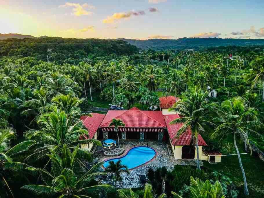 PALM HOUSE - LUXURY VILLA - SAMANÁ - Ocean Front view 4