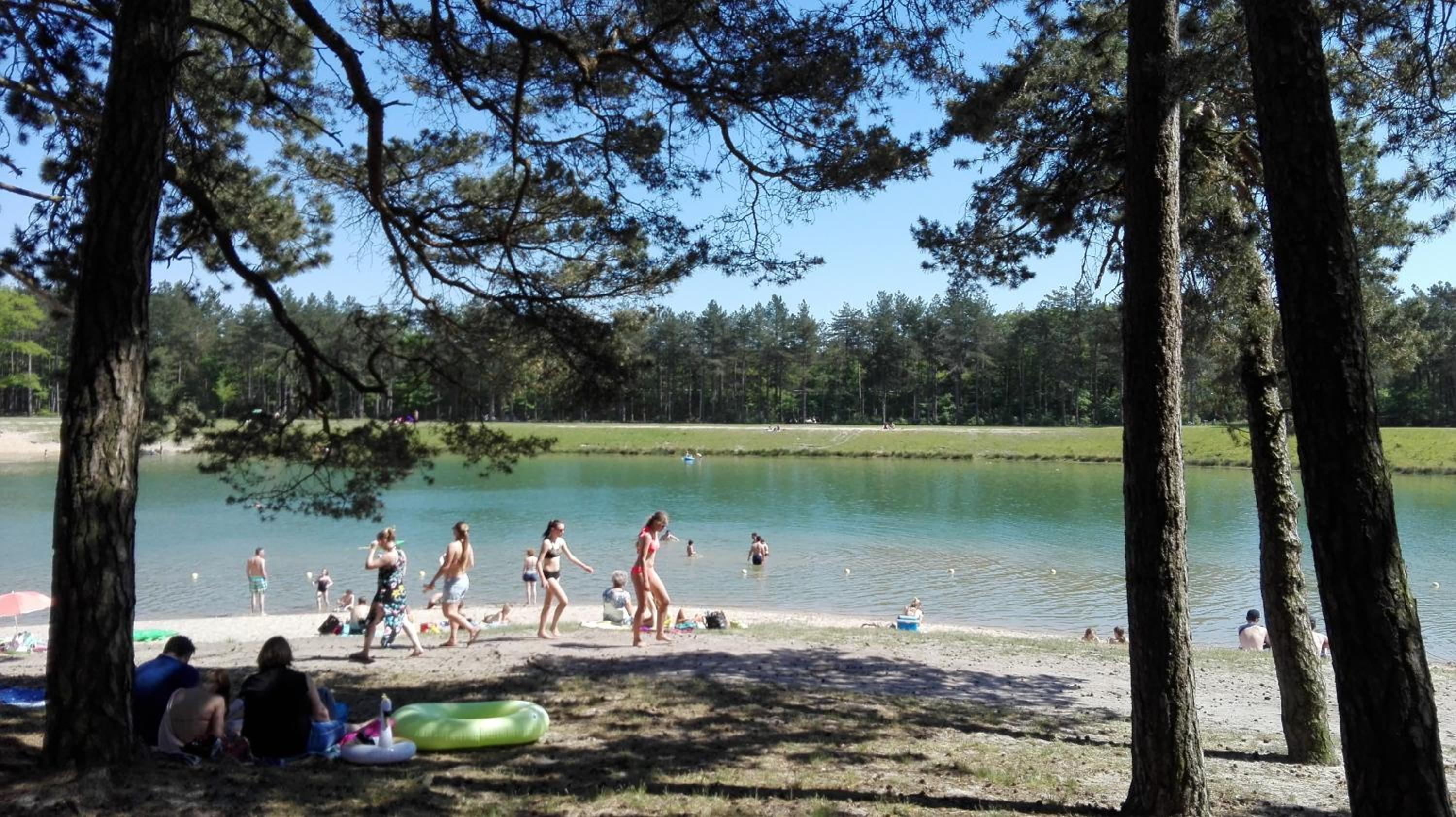 Boshuisje op de Veluwe view 3